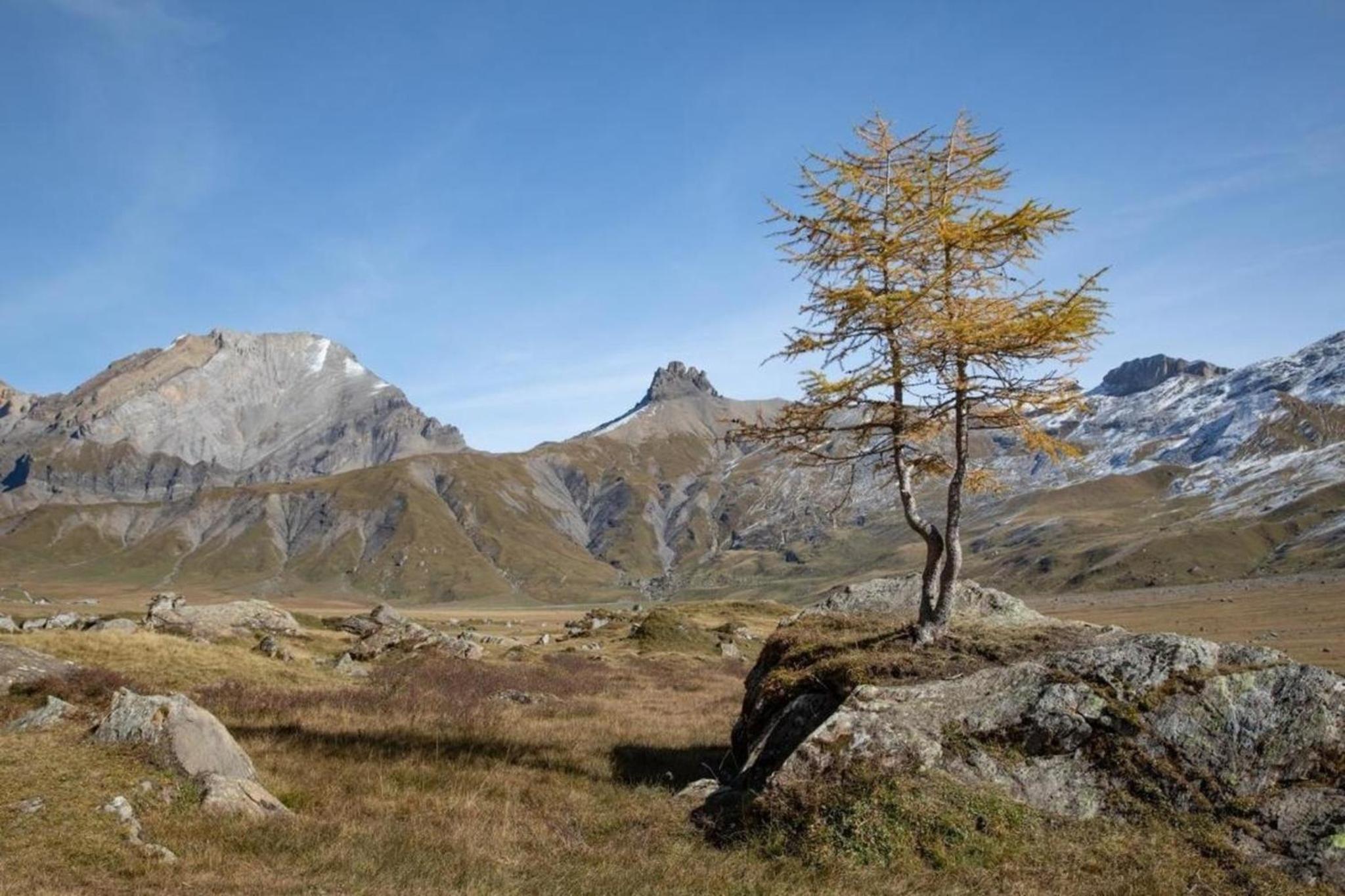3-Zi-FeWo Gehrihornblick