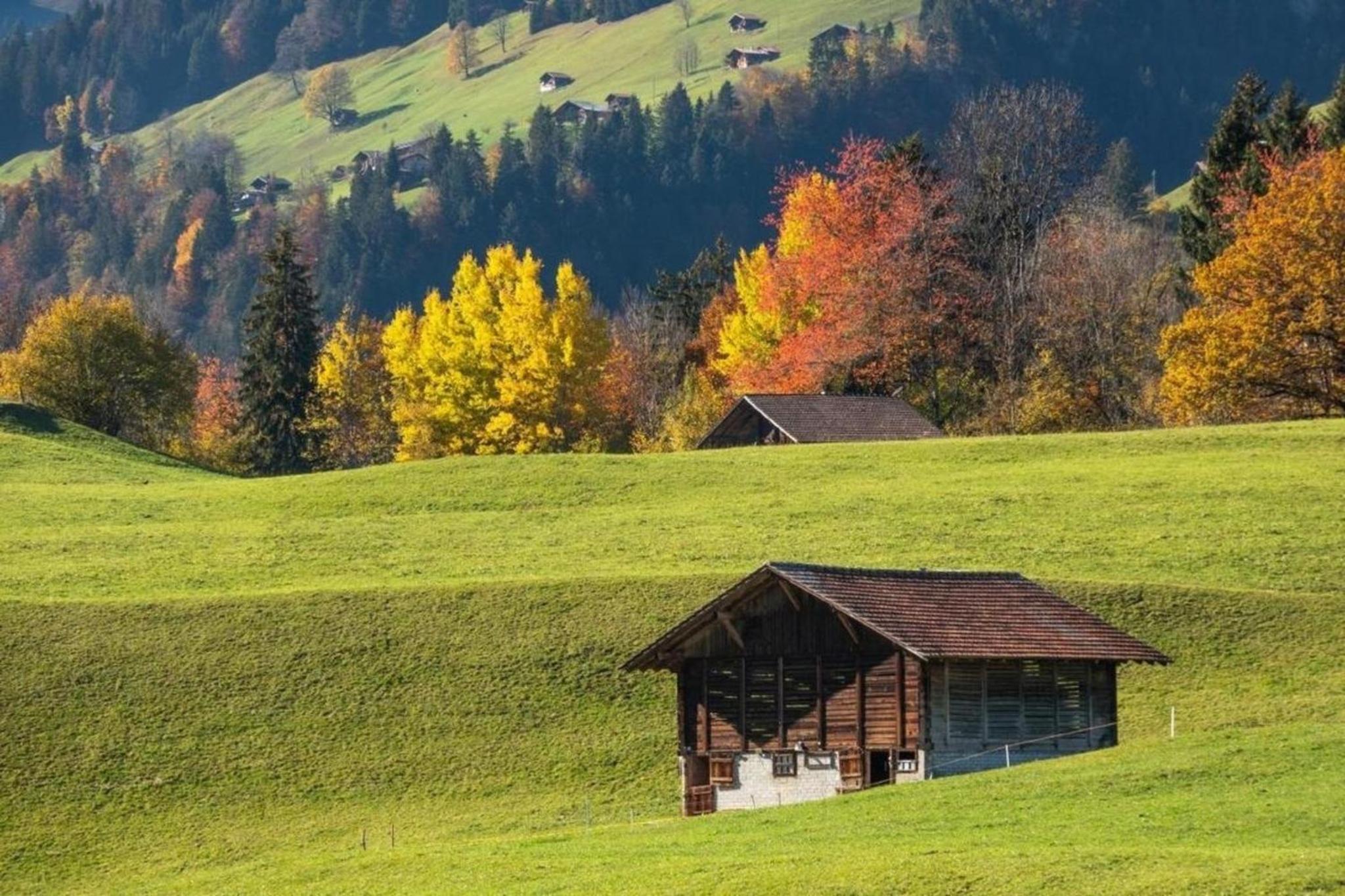 3-Zi-FeWo Gehrihornblick