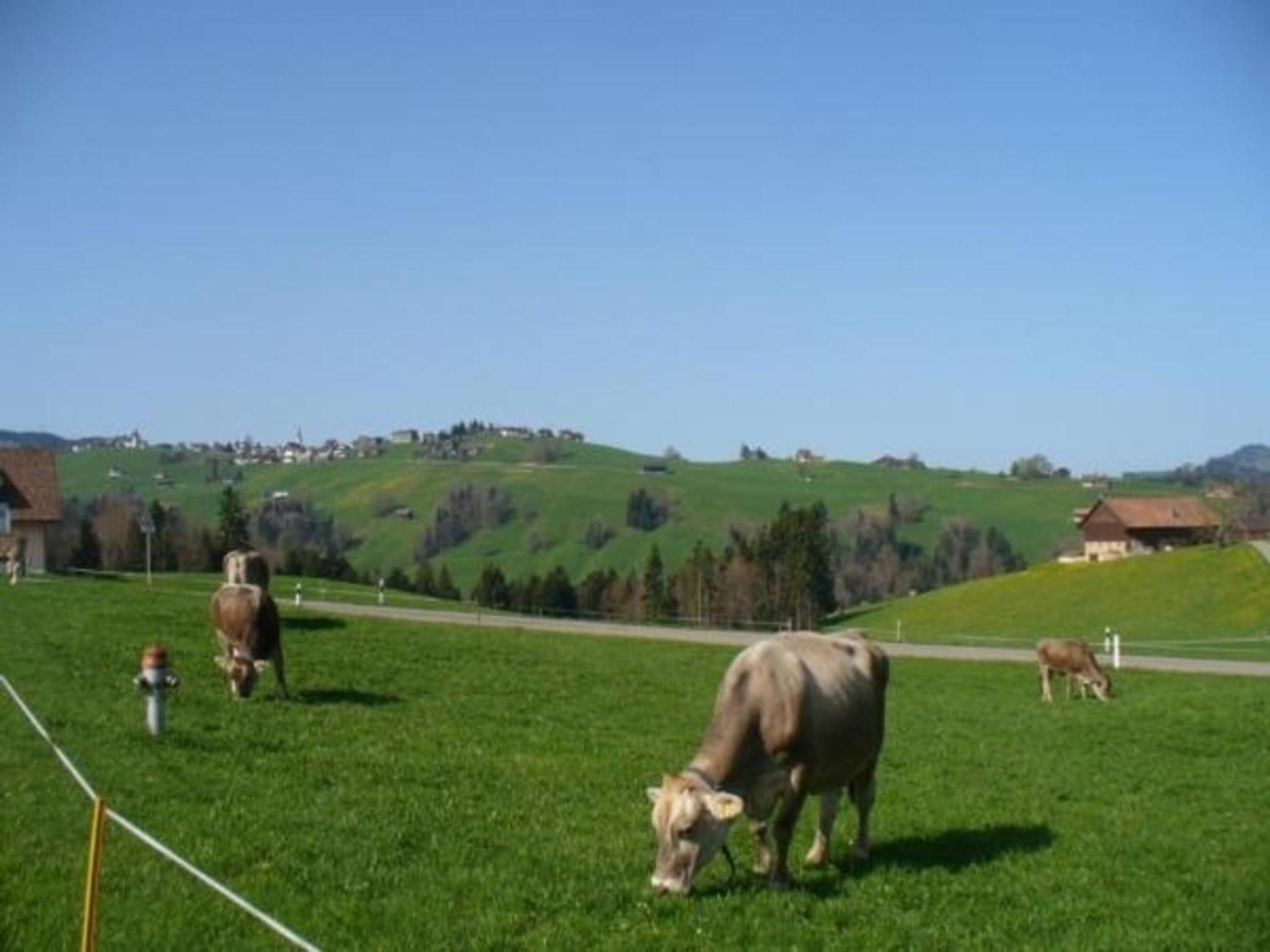 Gast- & Ferienhaus Frohheim