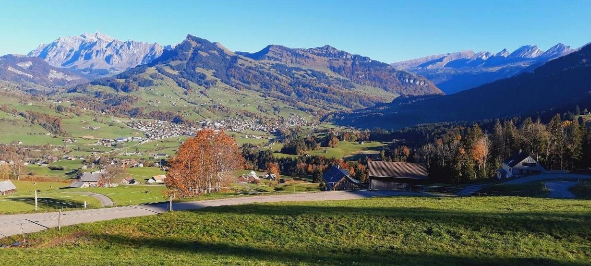 Gemütliche und geräumige Ferienwohnung - b48625