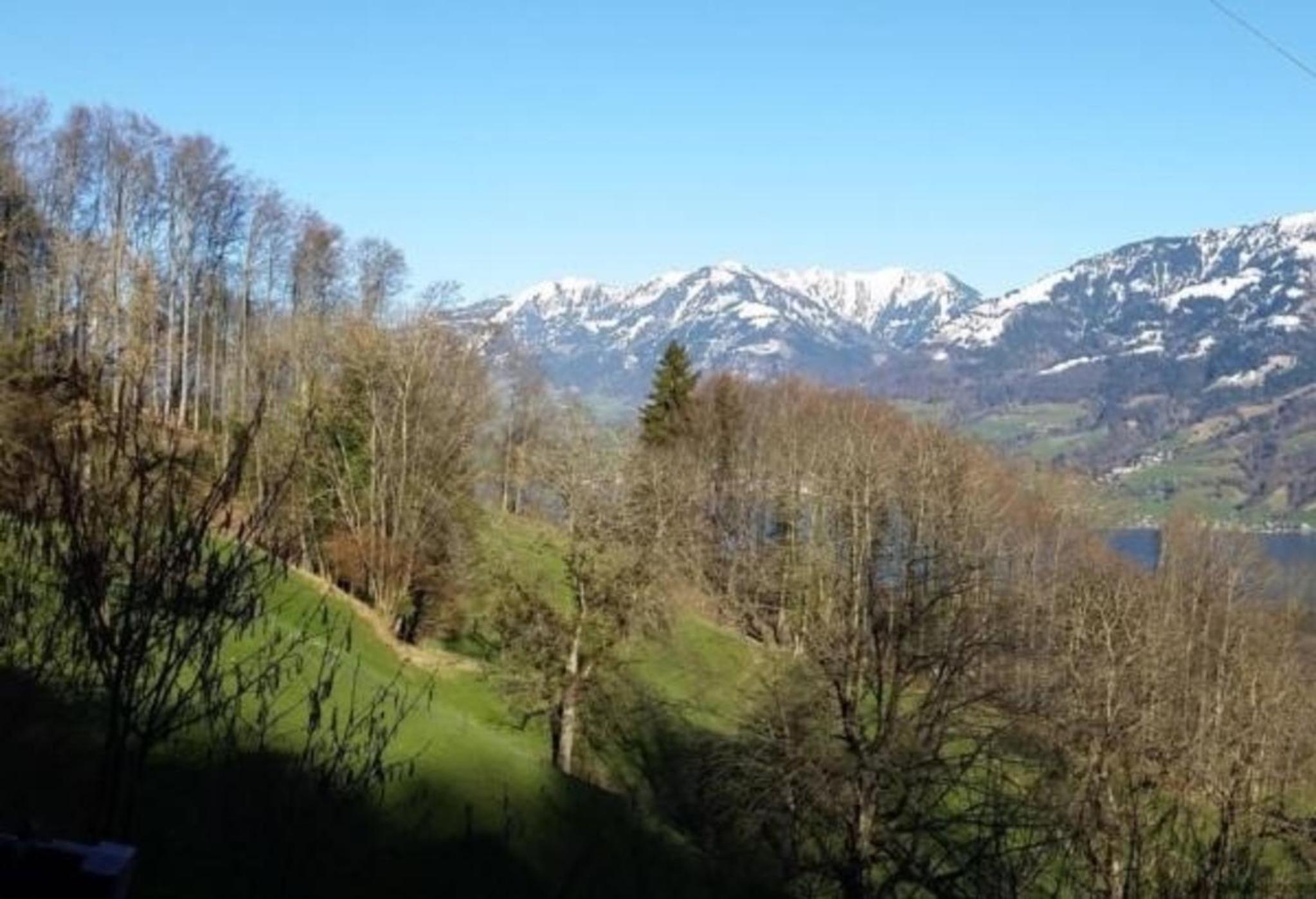 Chalet Hüsli