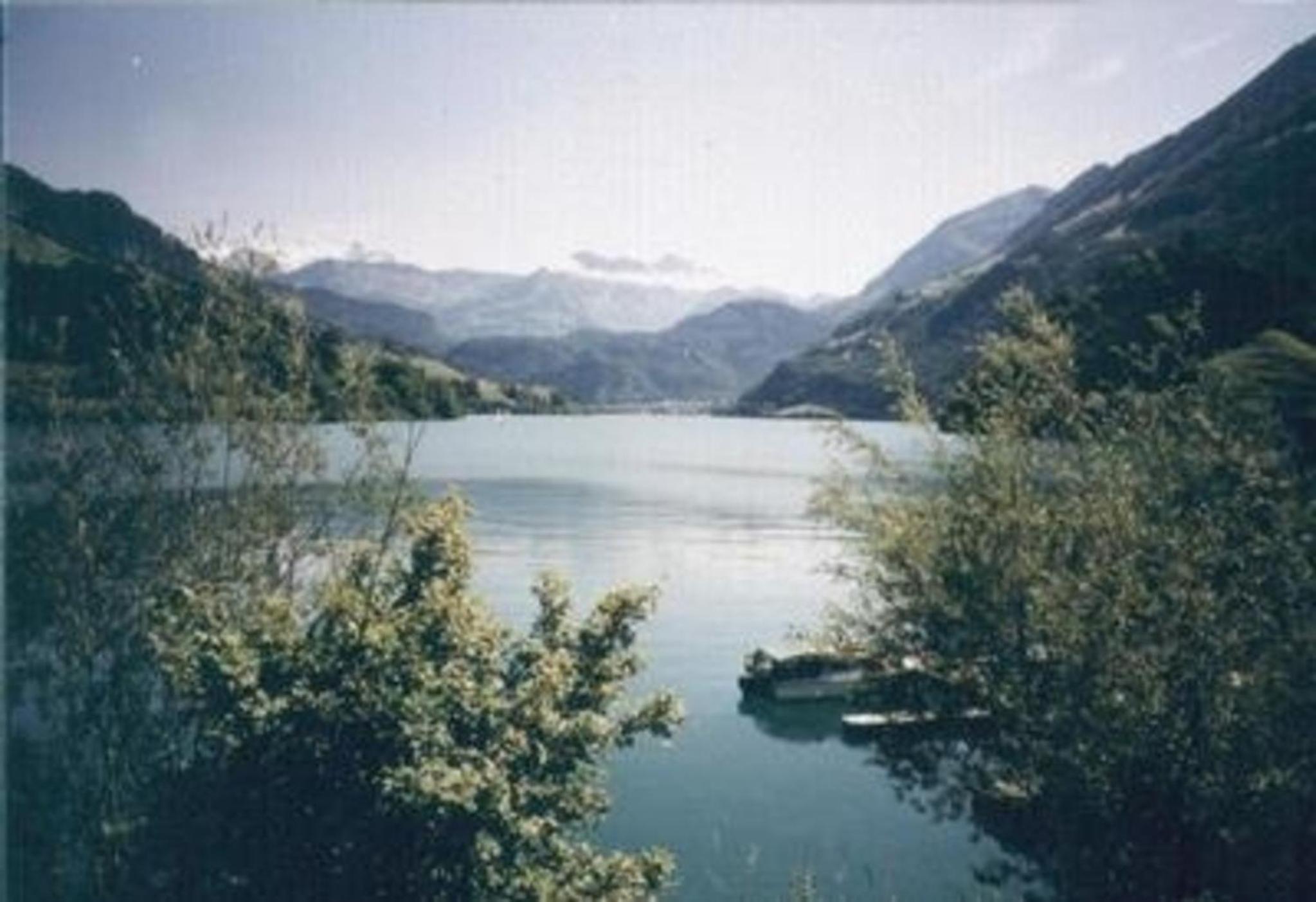 Chalet Hüsli