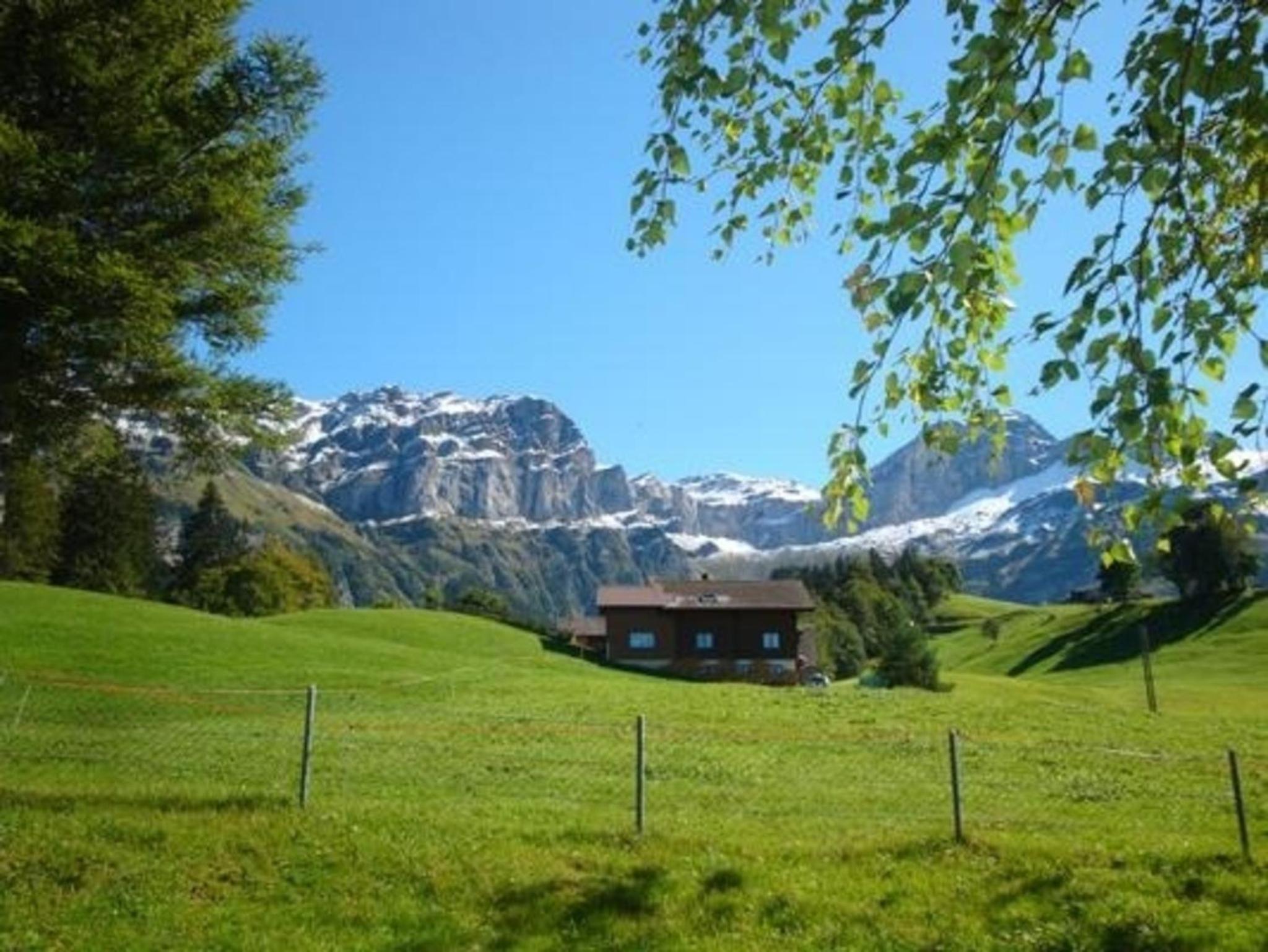 Ferien im grünen rechts
