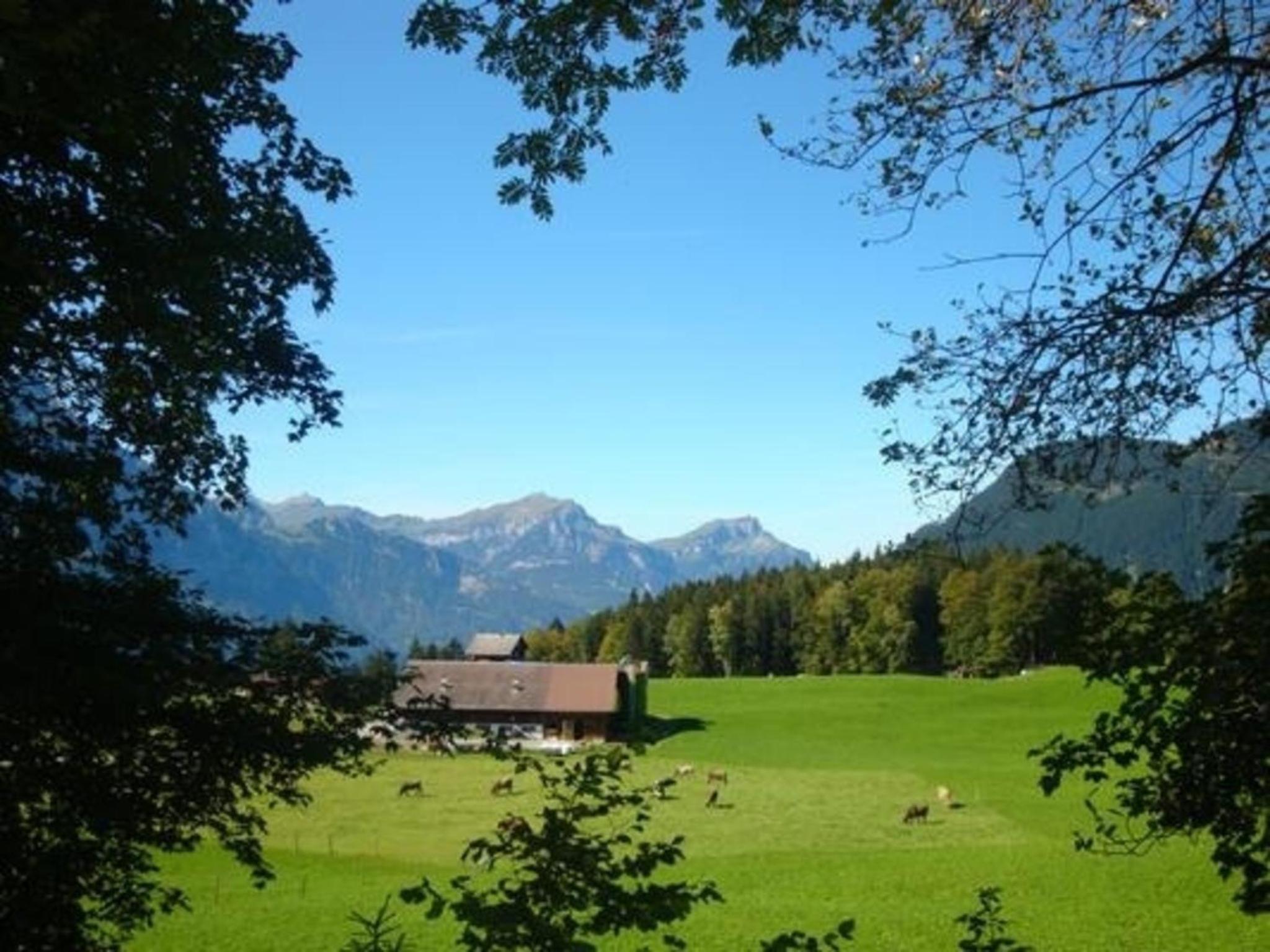 Ferien im grünen rechts