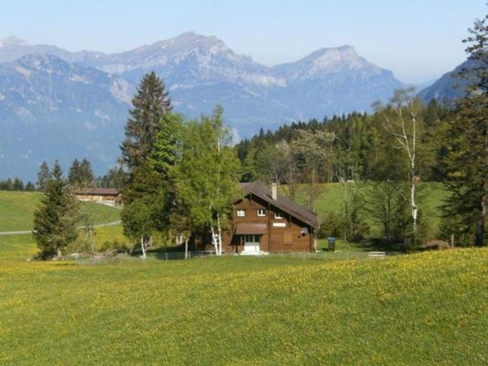Ferien im grünen rechts