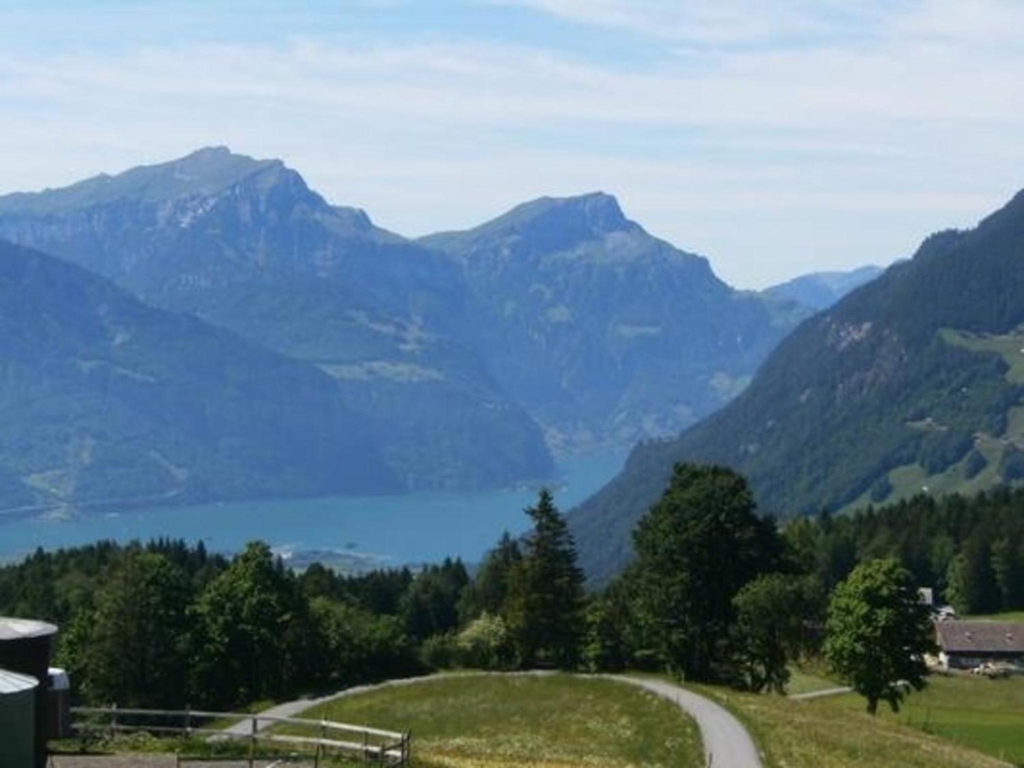 Ferien im grünen rechts