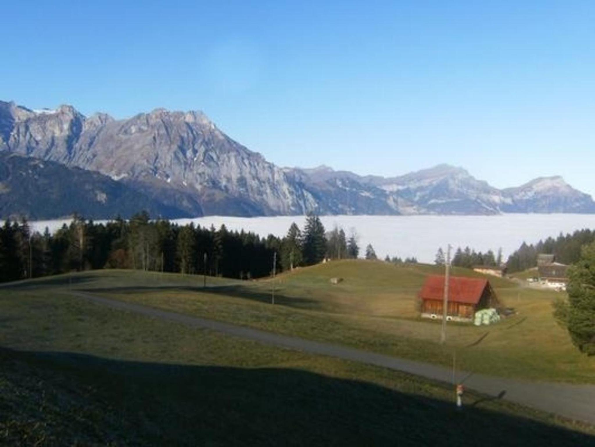 Ferien im grünen rechts