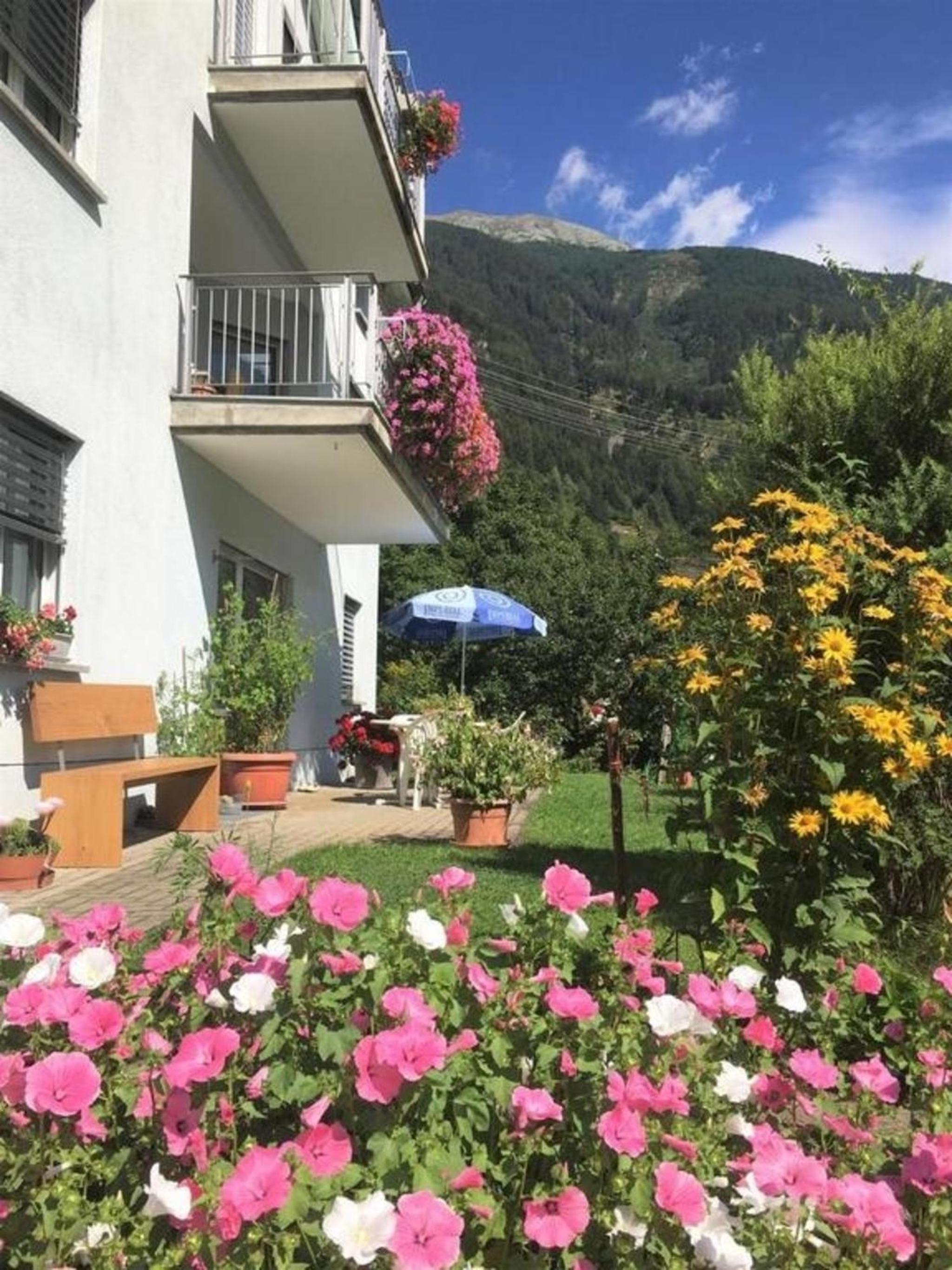 Schöne, sonnige 25-Zimmer Parterre-Ferienwohnung
