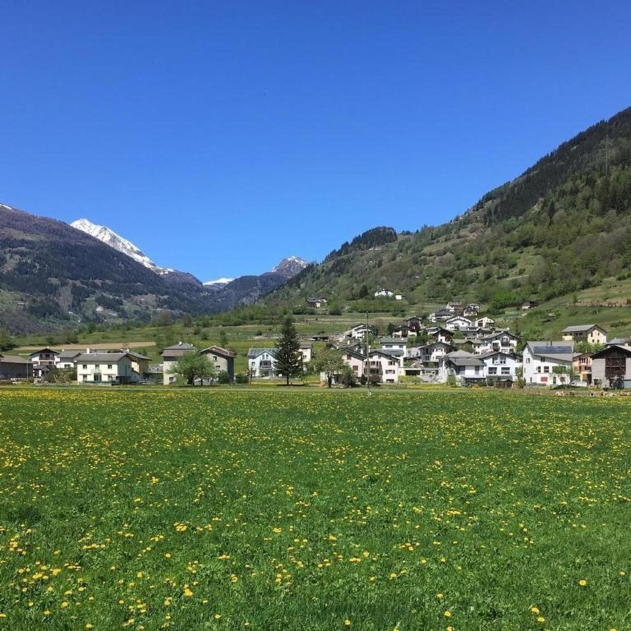 Schöne, sonnige 25-Zimmer Parterre-Ferienwohnung