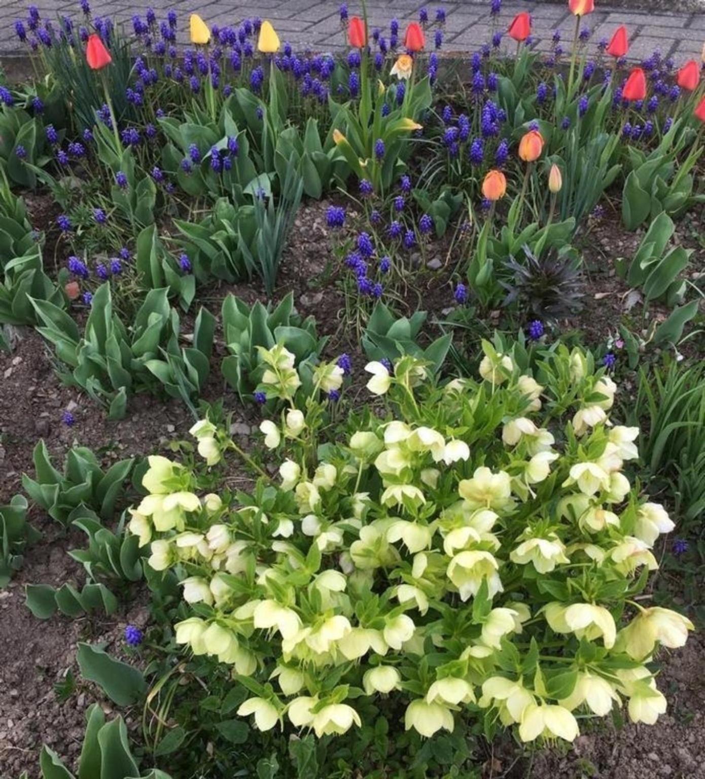 Schöne, sonnige 25-Zimmer Parterre-Ferienwohnung