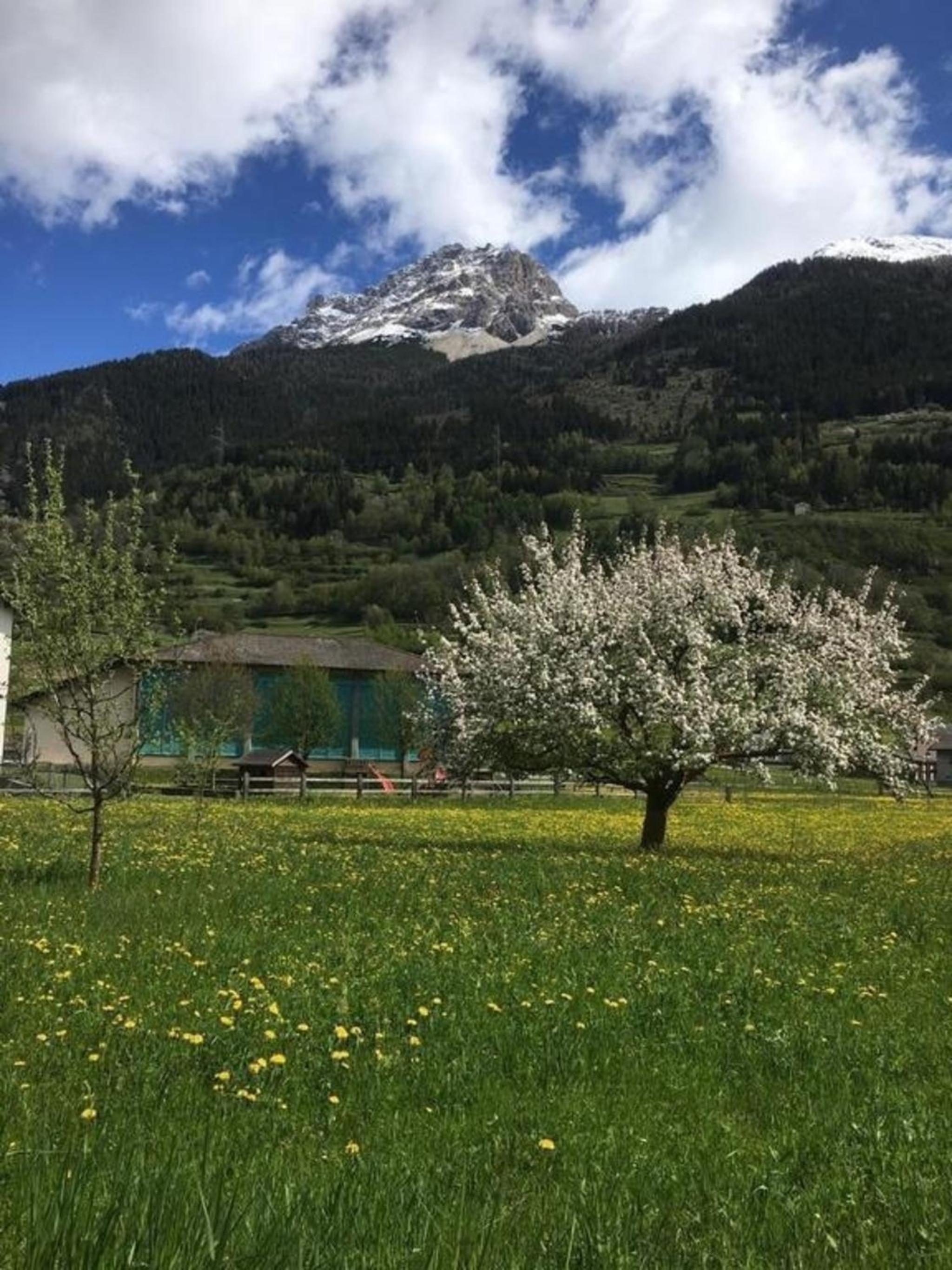 Schöne, sonnige 25-Zimmer Parterre-Ferienwohnung