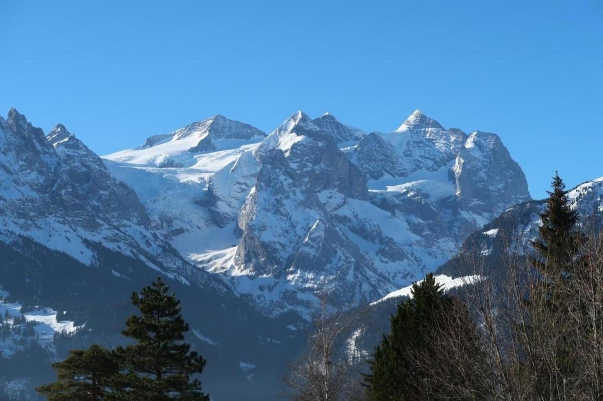 Chalet Varga