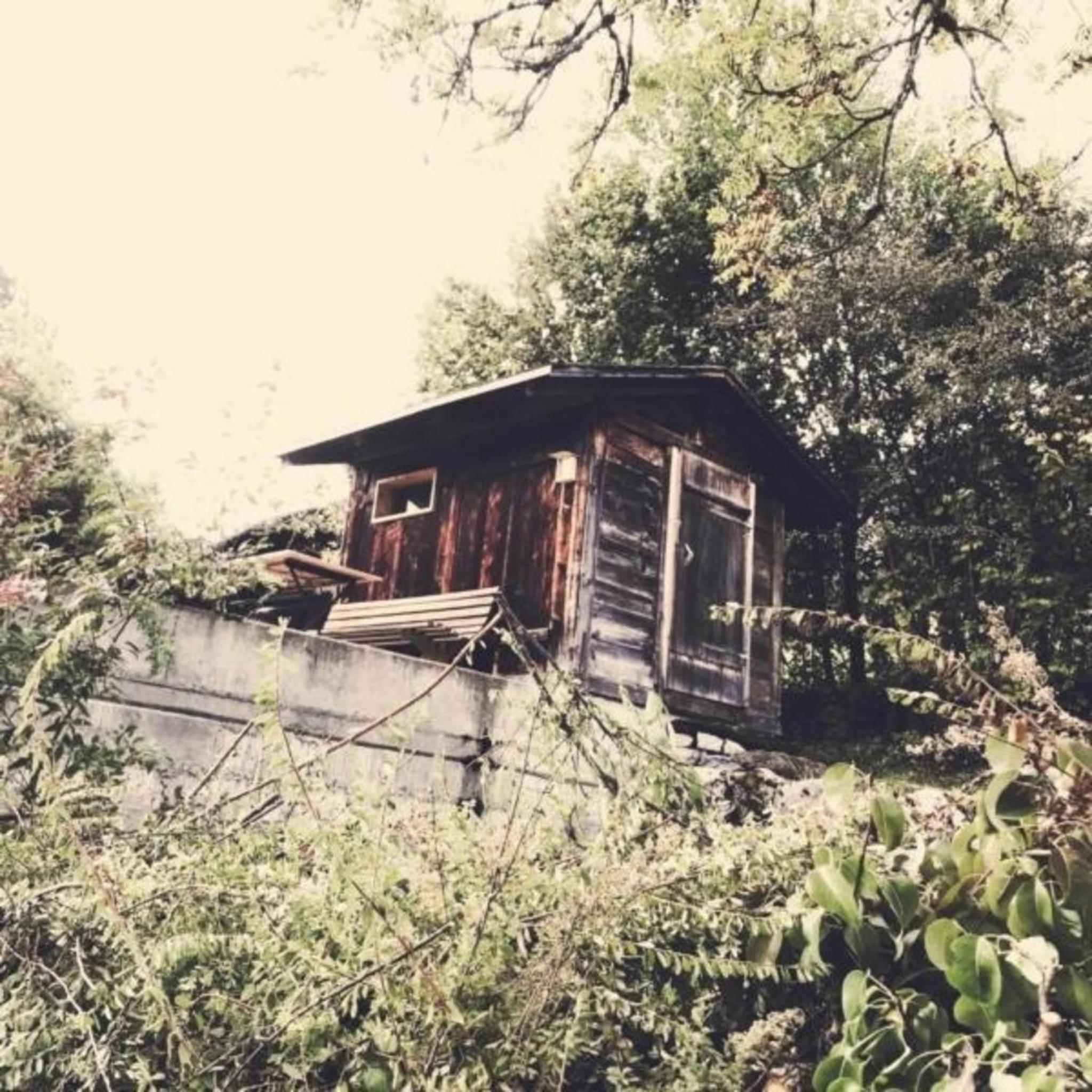Haus