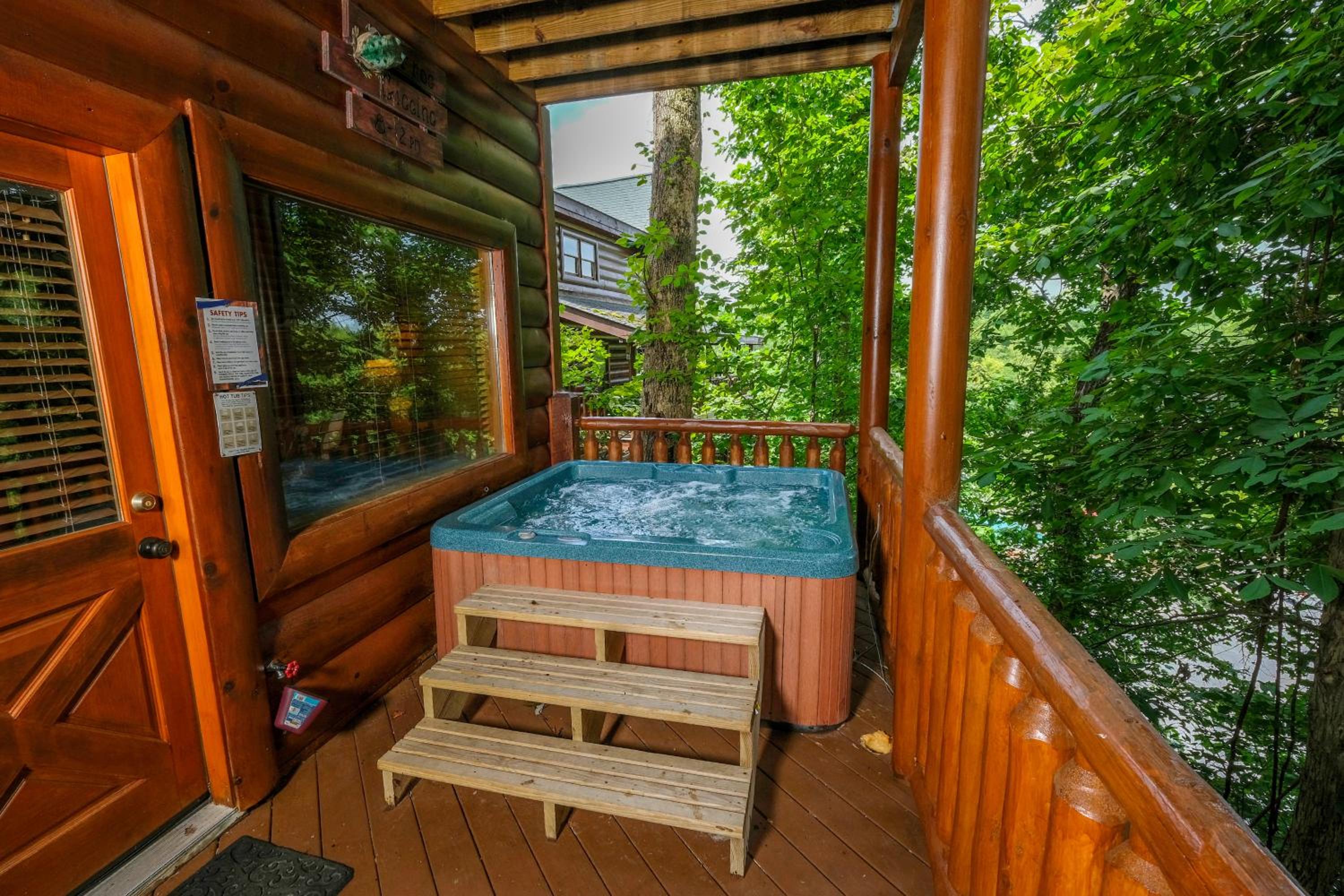 A Beary Good Life By Colonial Properties view 3