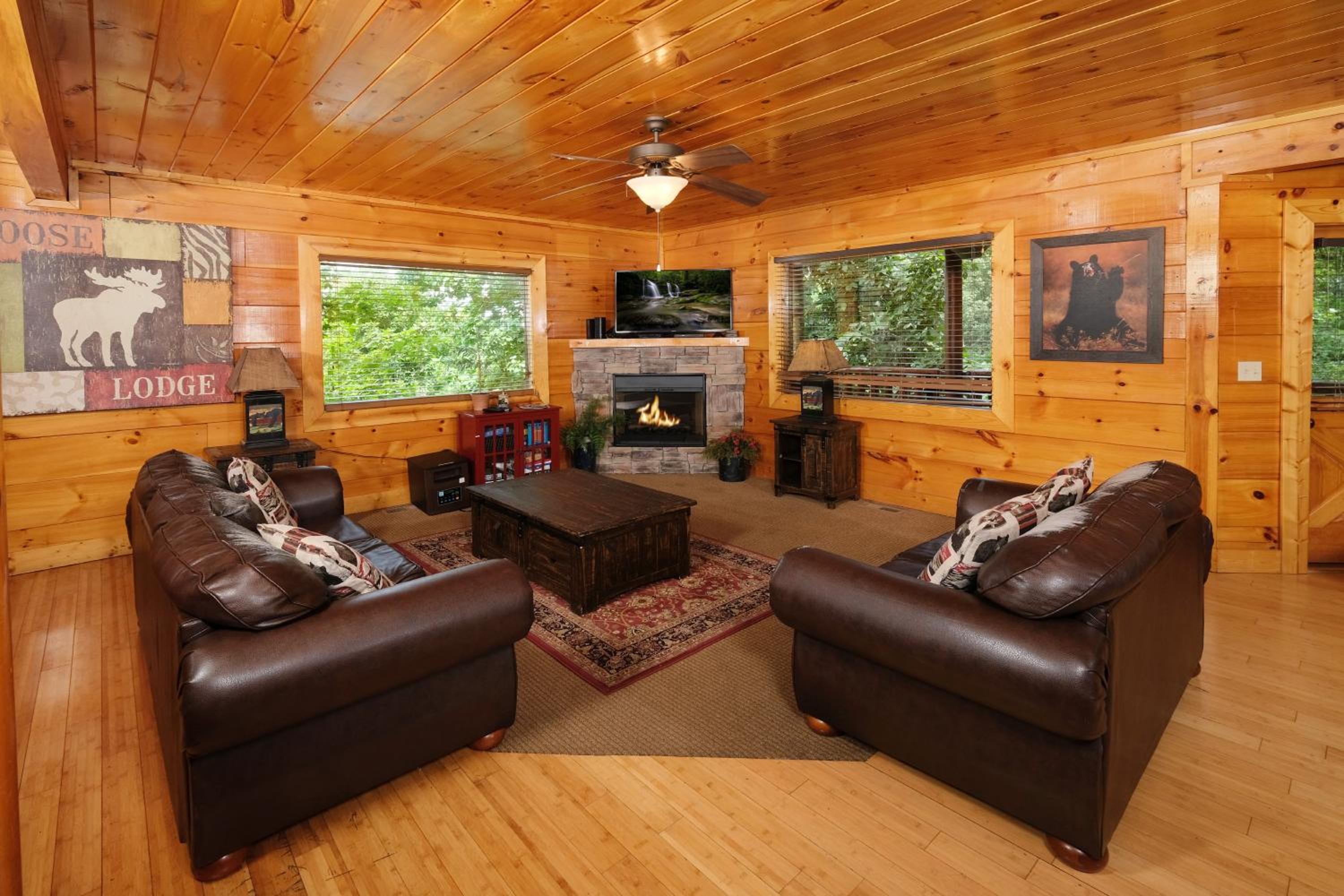 A Beary Good Life By Colonial Properties view 5