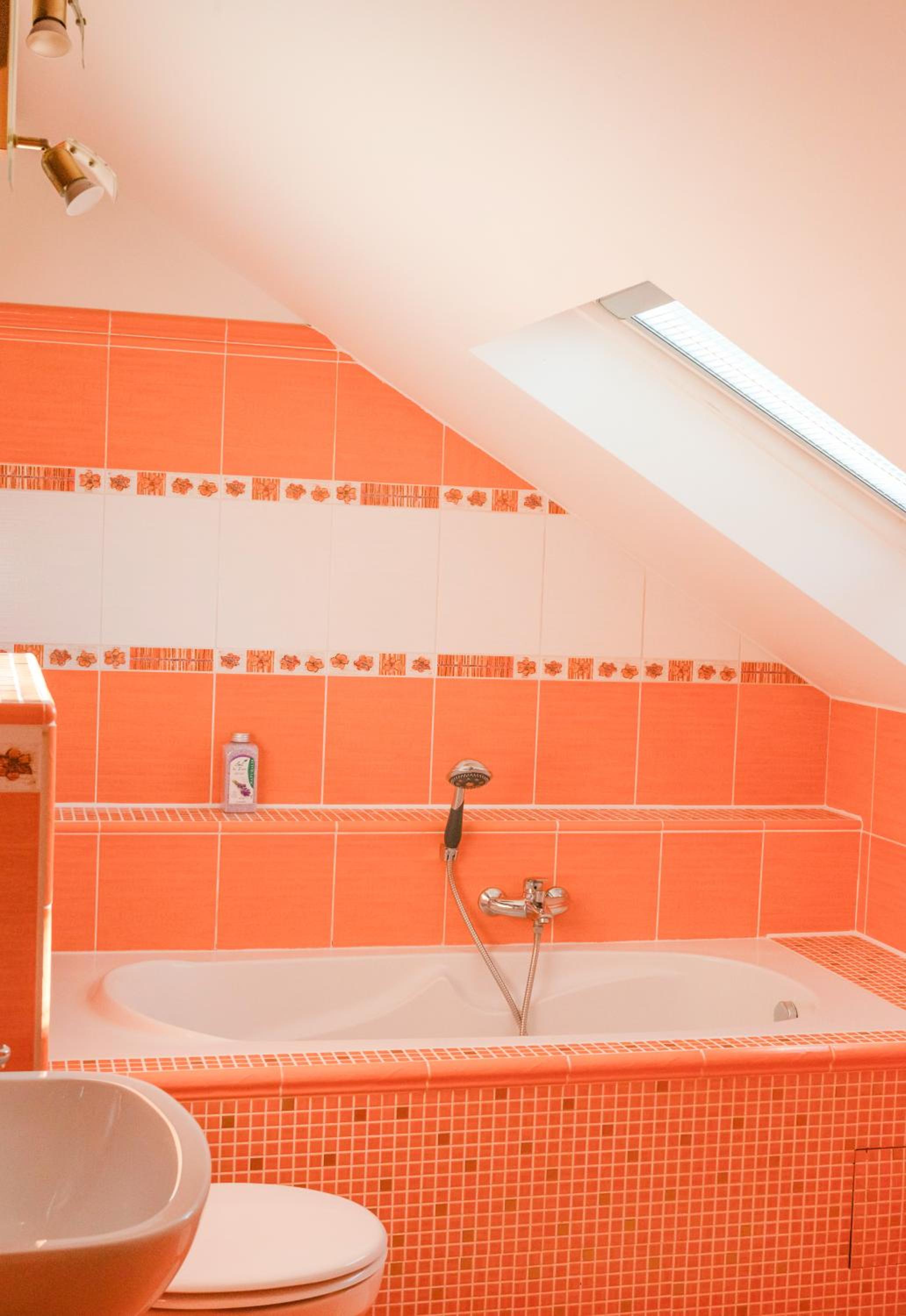 Apartmány Princ Děčín