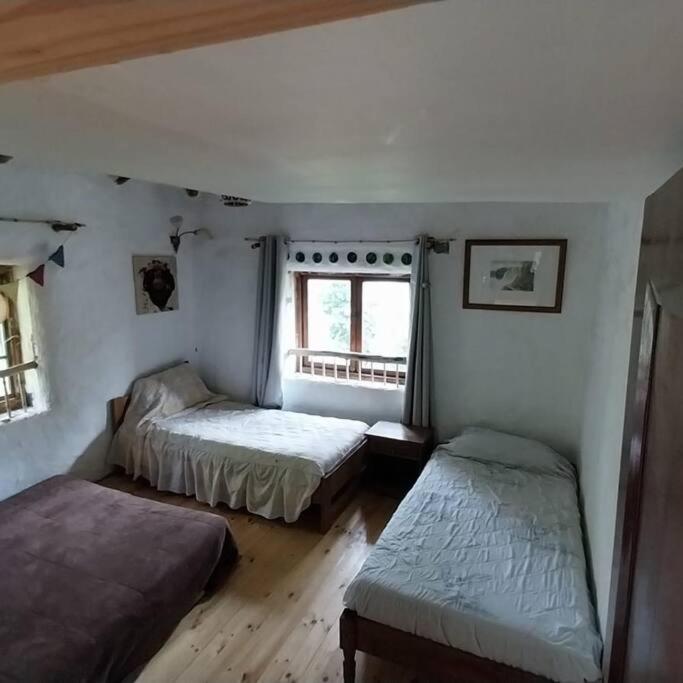 Cabaña rustica en los Lleuques