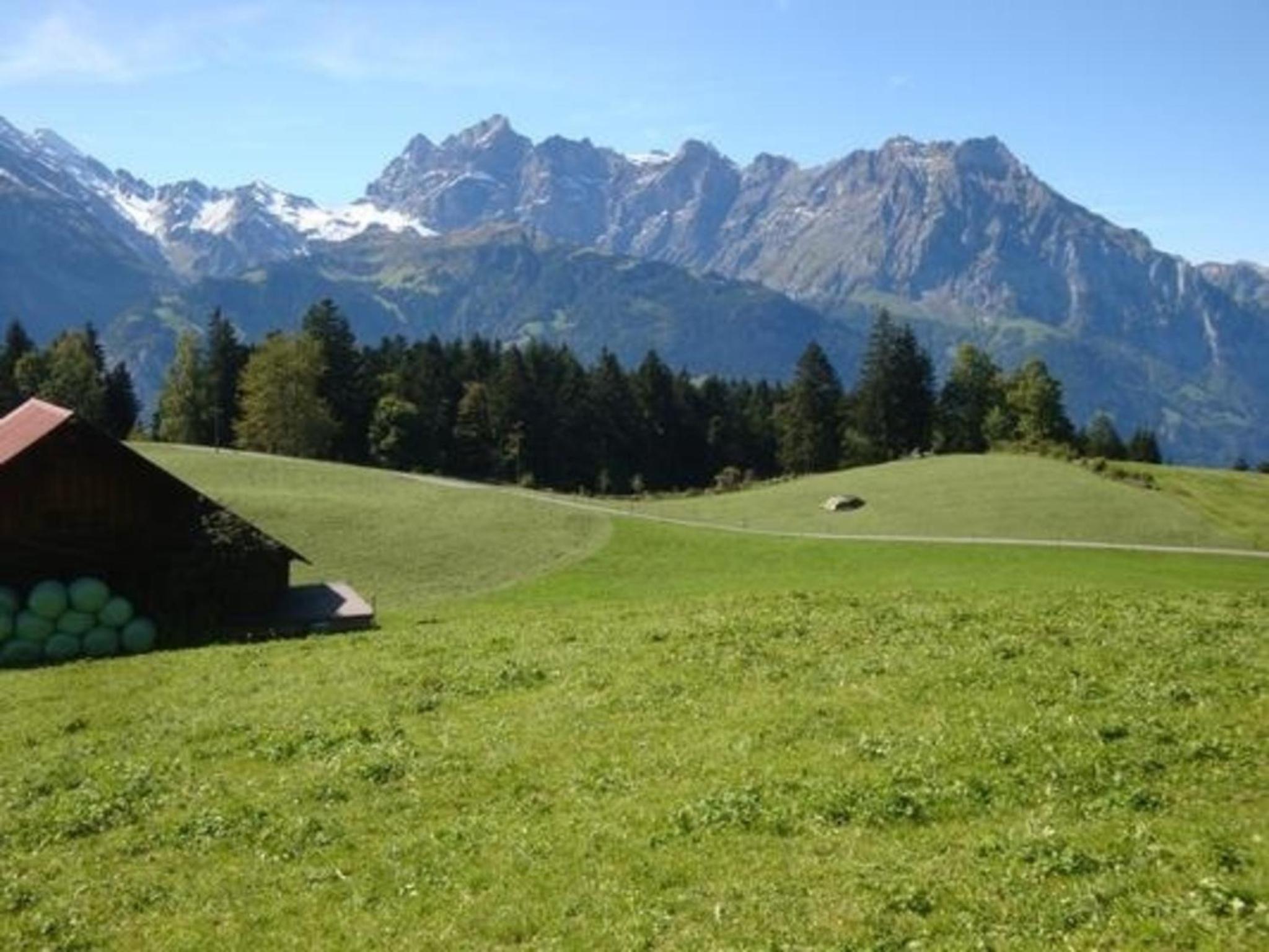 Ferien im grünen links