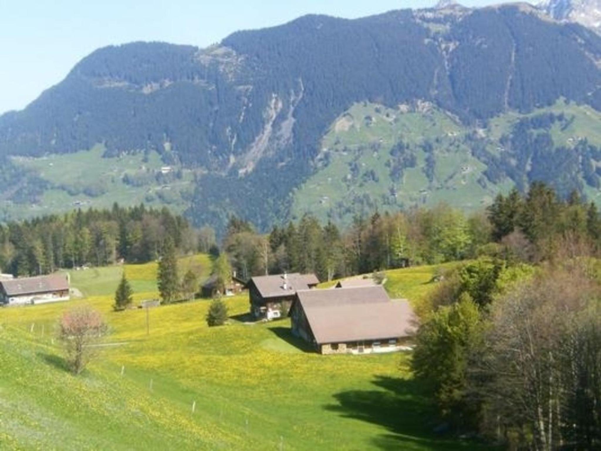 Ferien im grünen links
