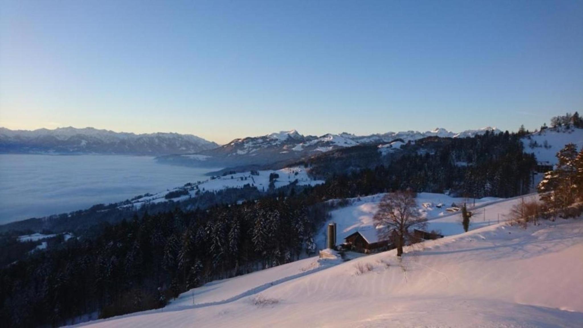 Rheintalblick