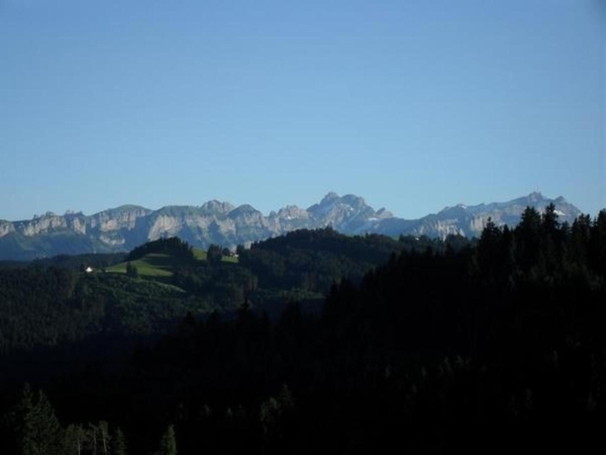 Rheintalblick