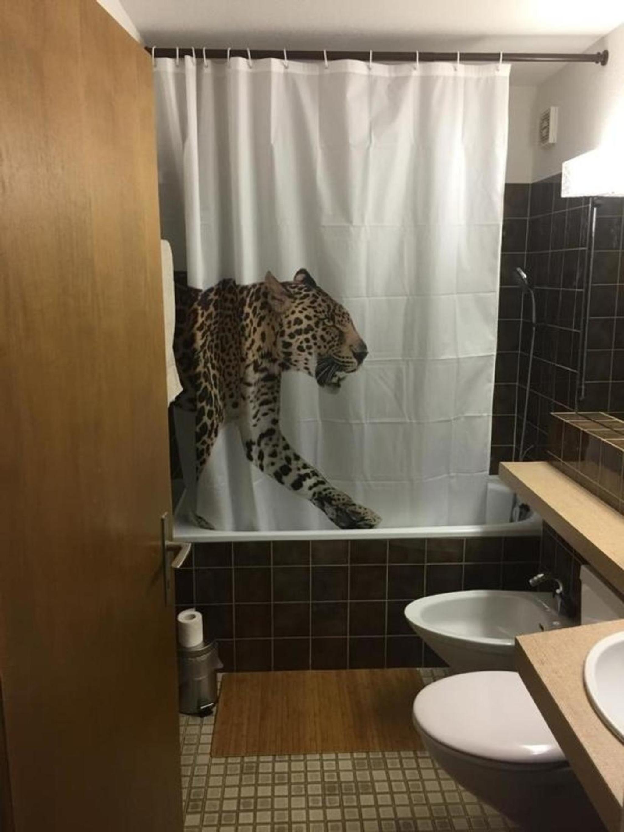 Gemütliche Ferienwohnung Im Disentiserhof