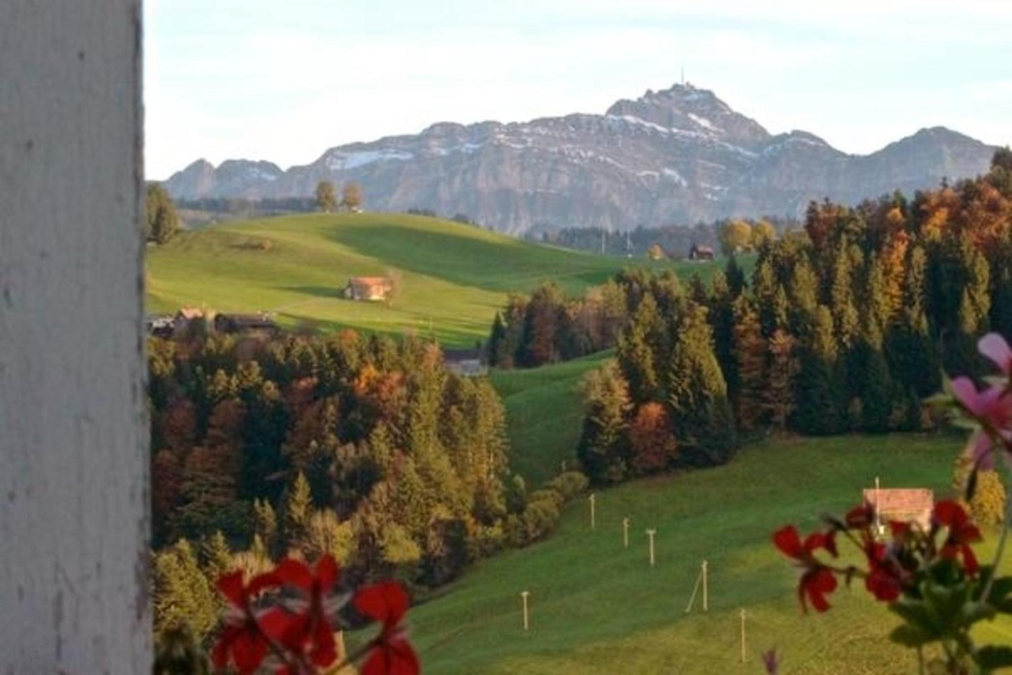 Bauernhof Hasenbüel