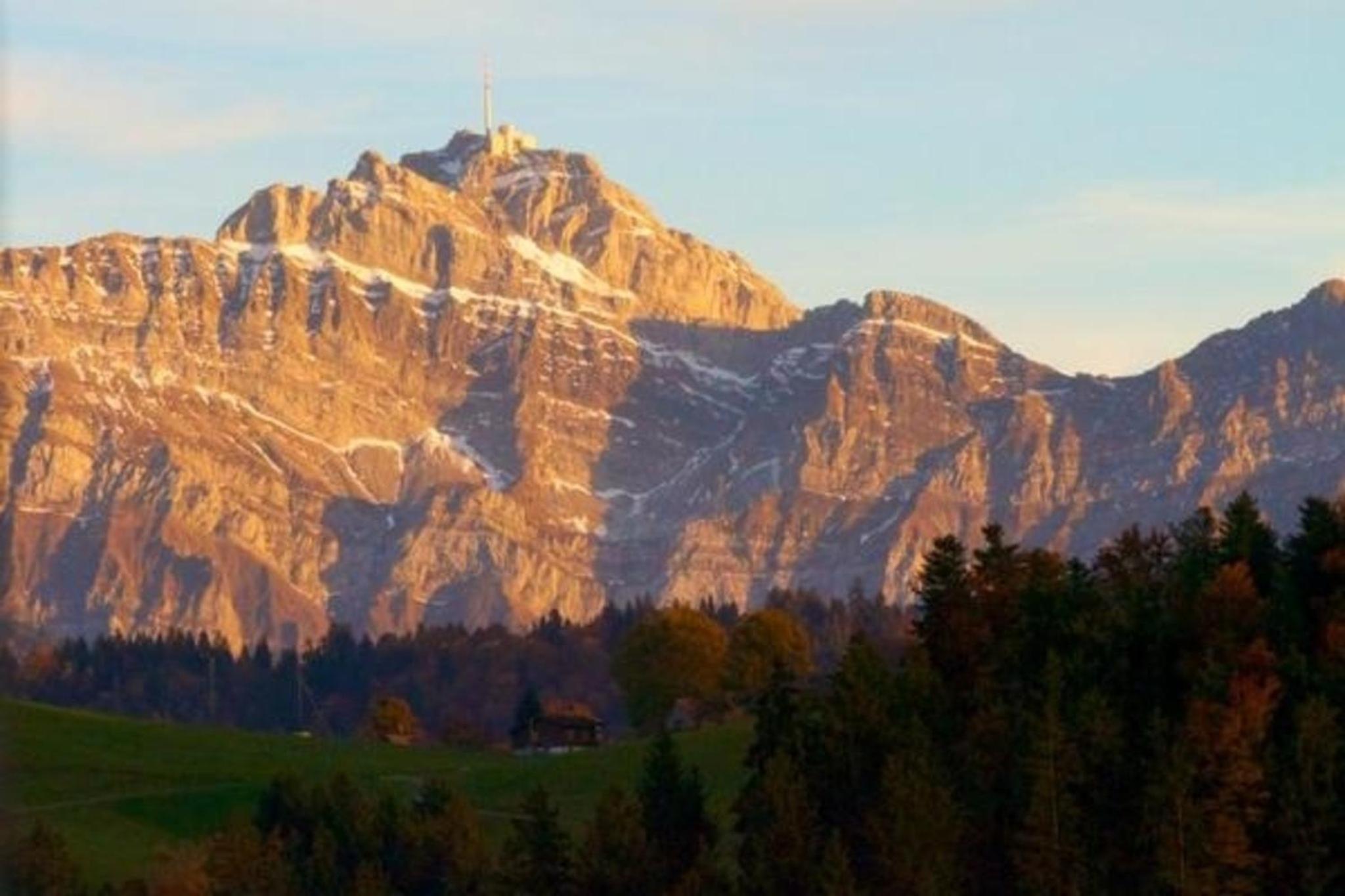 Bauernhof Hasenbüel