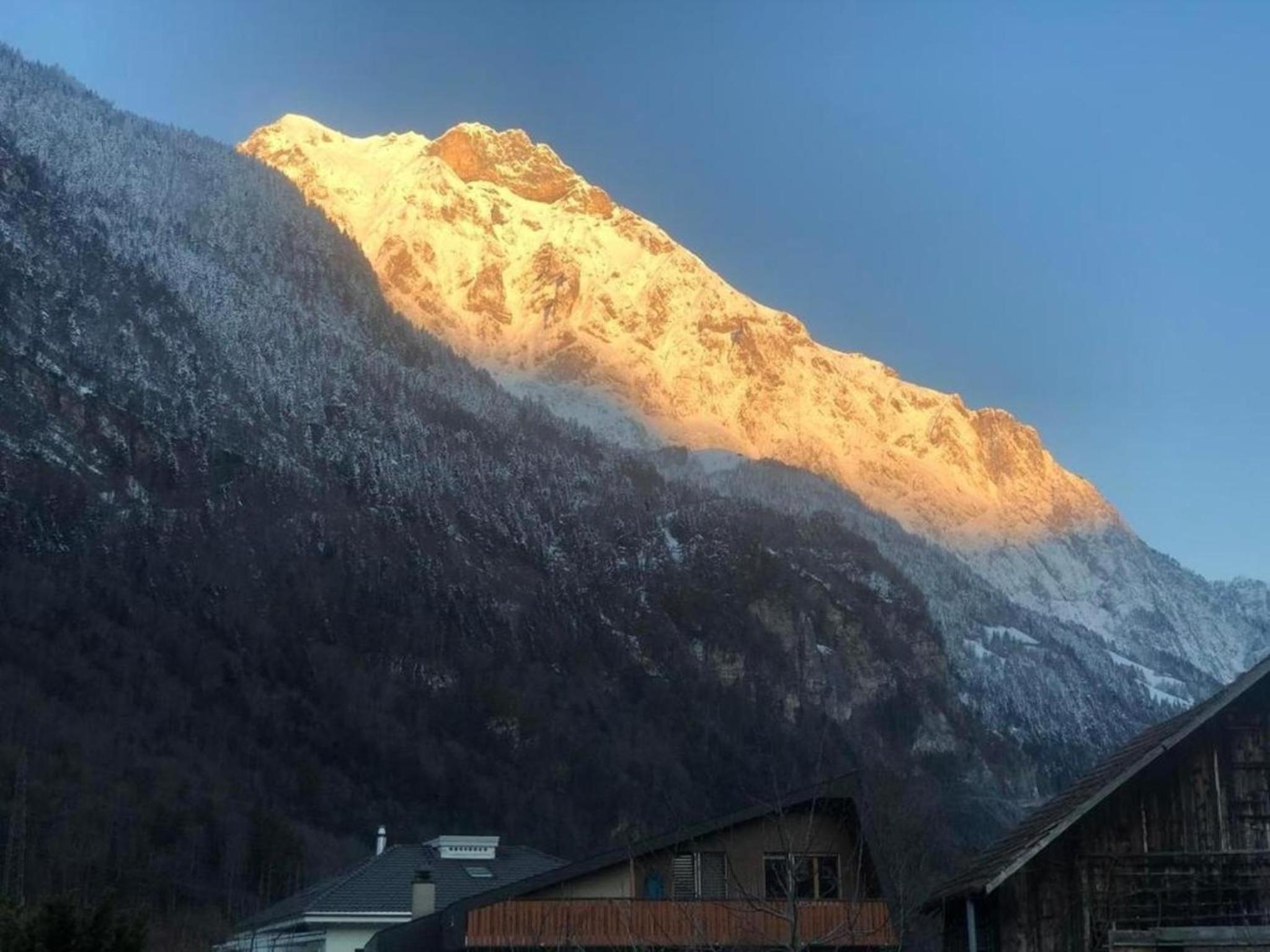 Ferienwohnung Brüstiblick