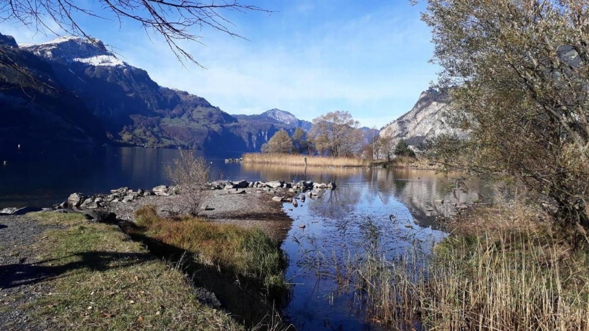 Ferienwohnung Brüstiblick