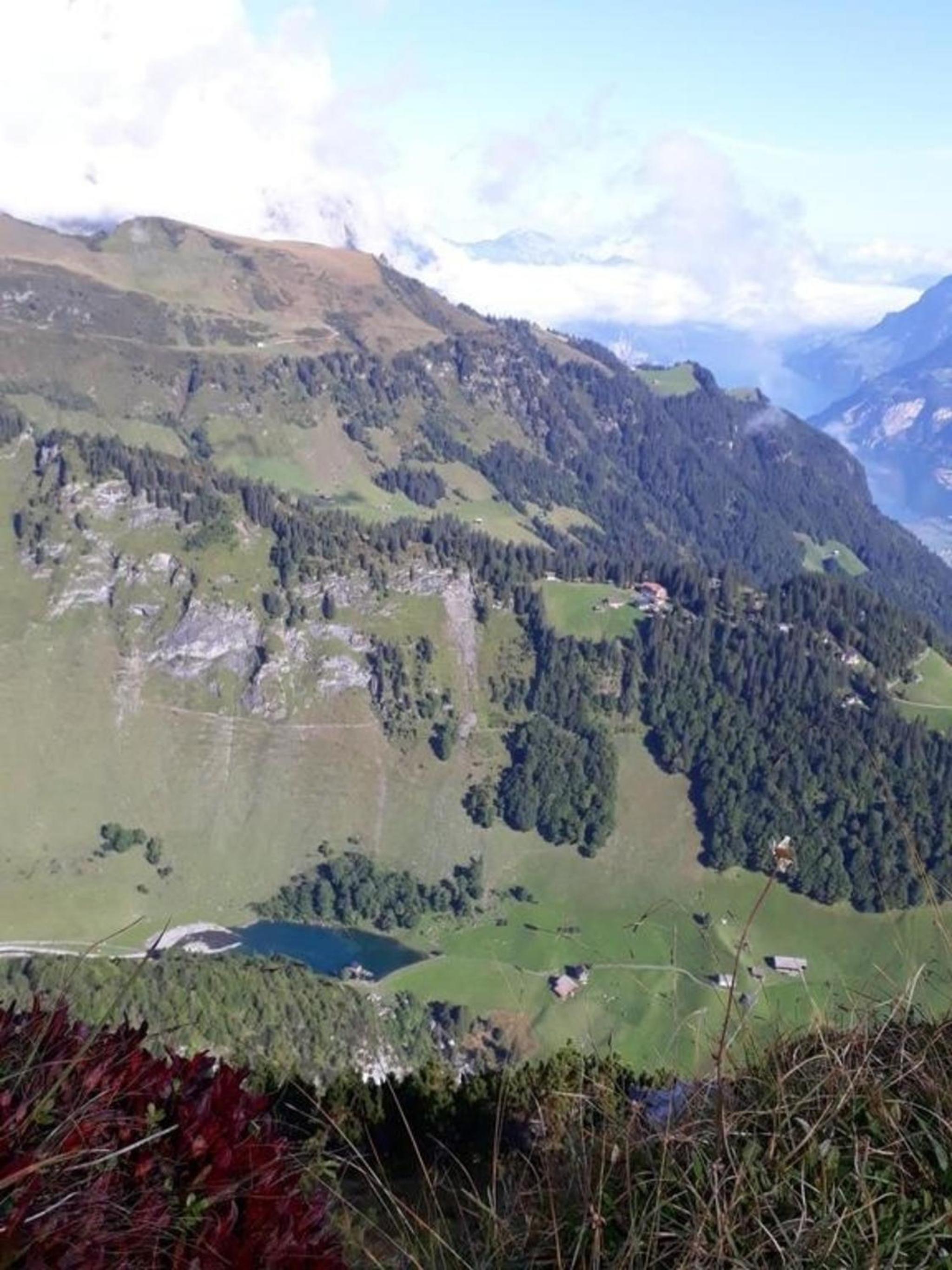 Ferienwohnung Brüstiblick