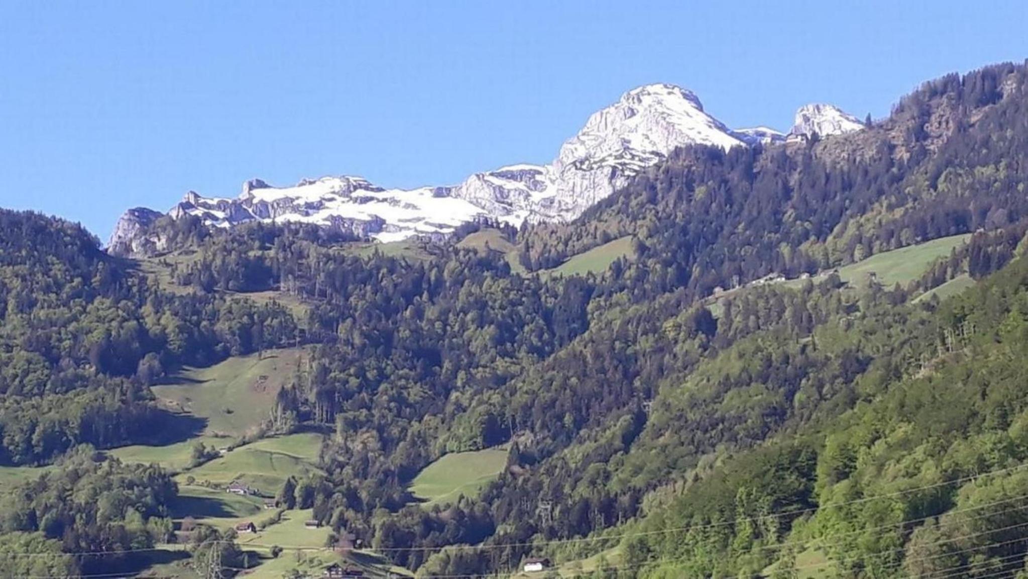 Ferienwohnung Brüstiblick