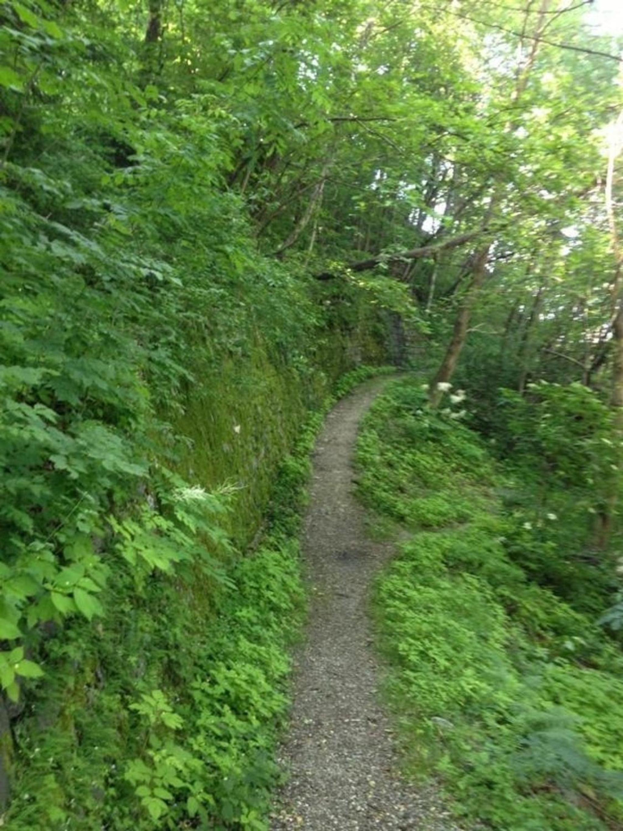 Ursprüngliches, Stilvolles Rustico