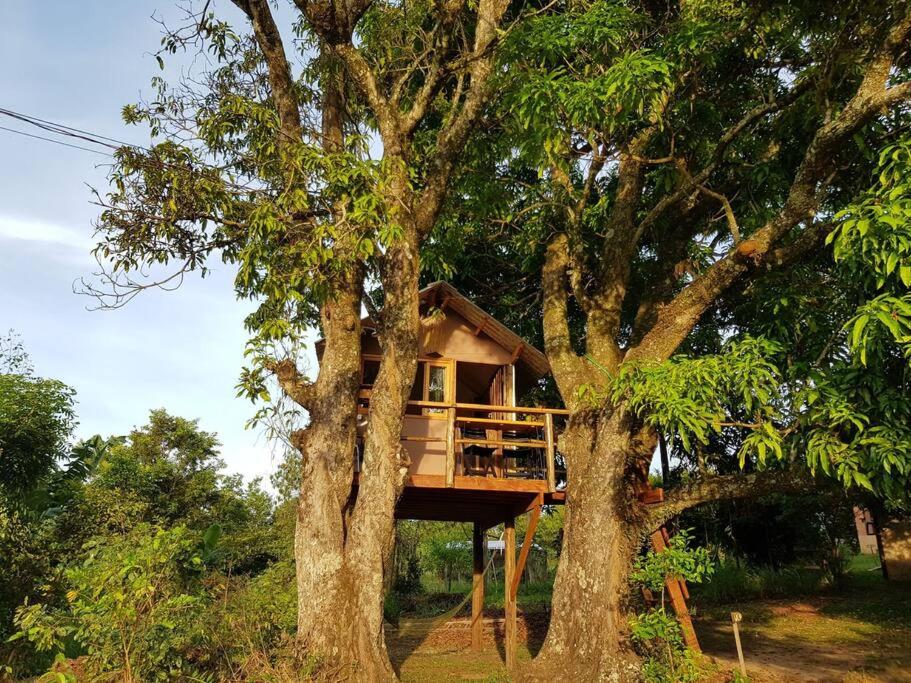 Ecofazenda Lodge