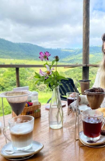 Ecofazenda Lodge