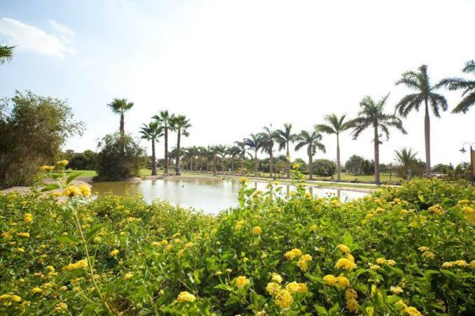 Egypt Oasis
