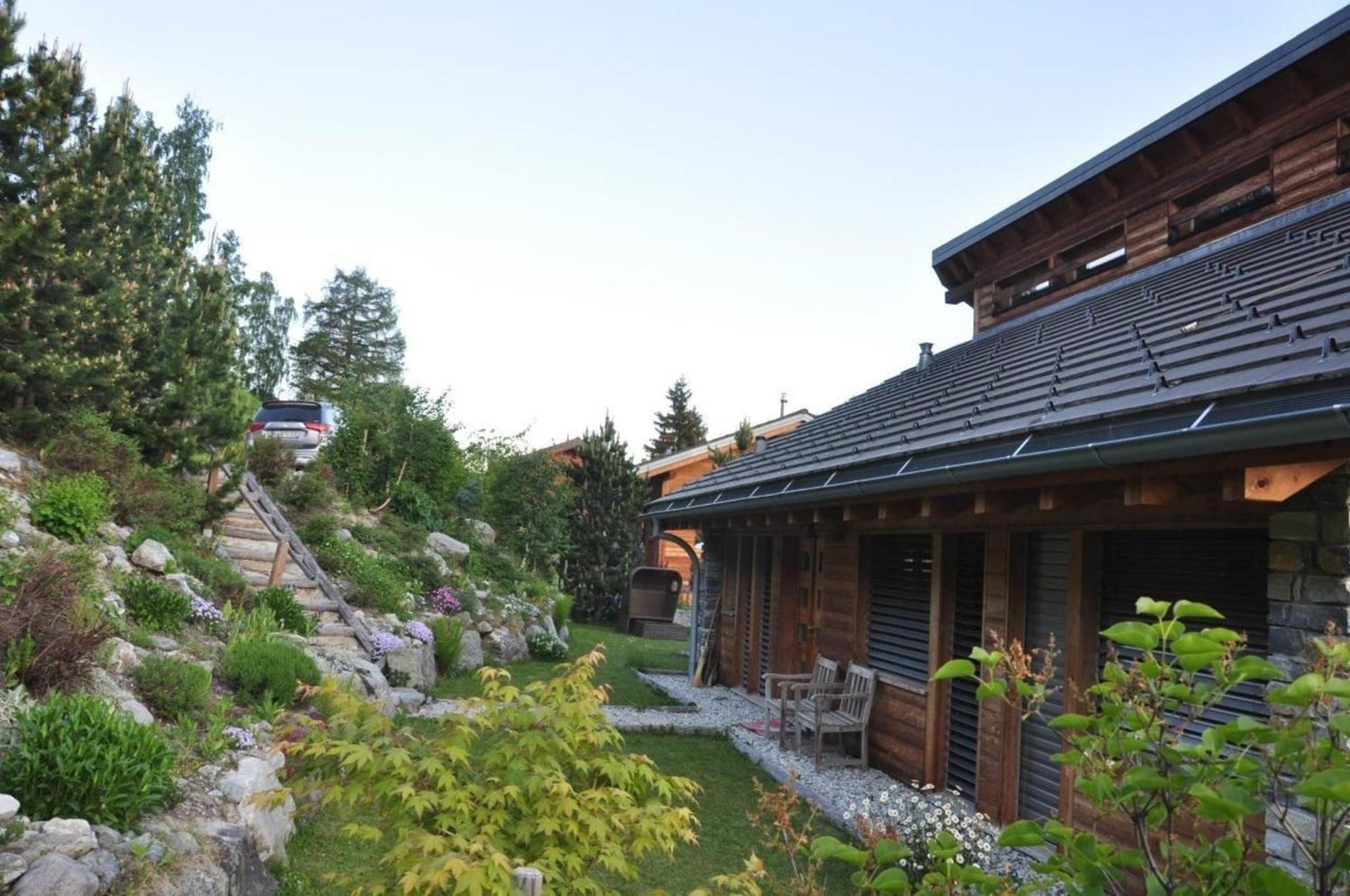 Modernes Chalet - Blue Merle
