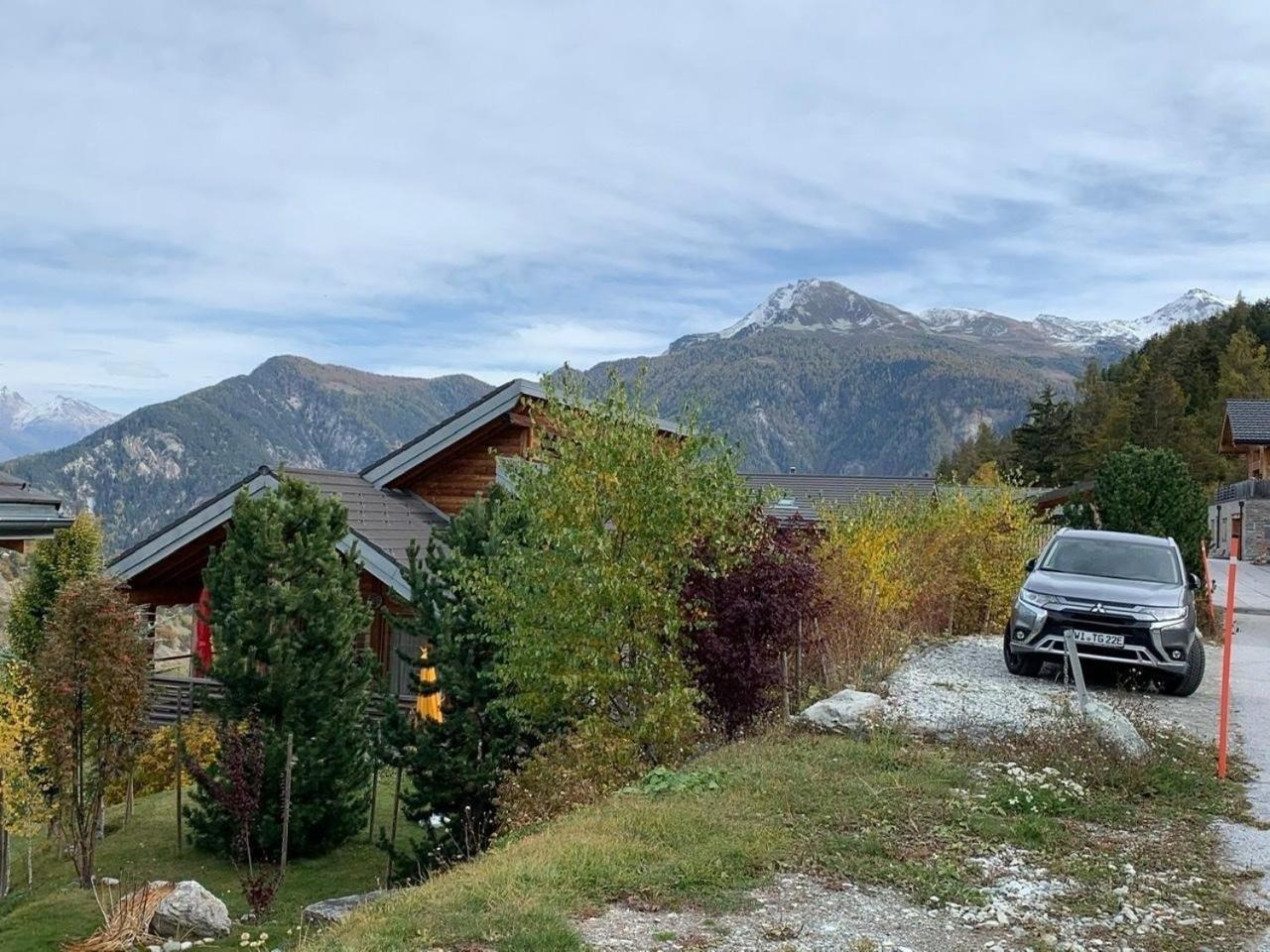Modernes Chalet - Blue Merle