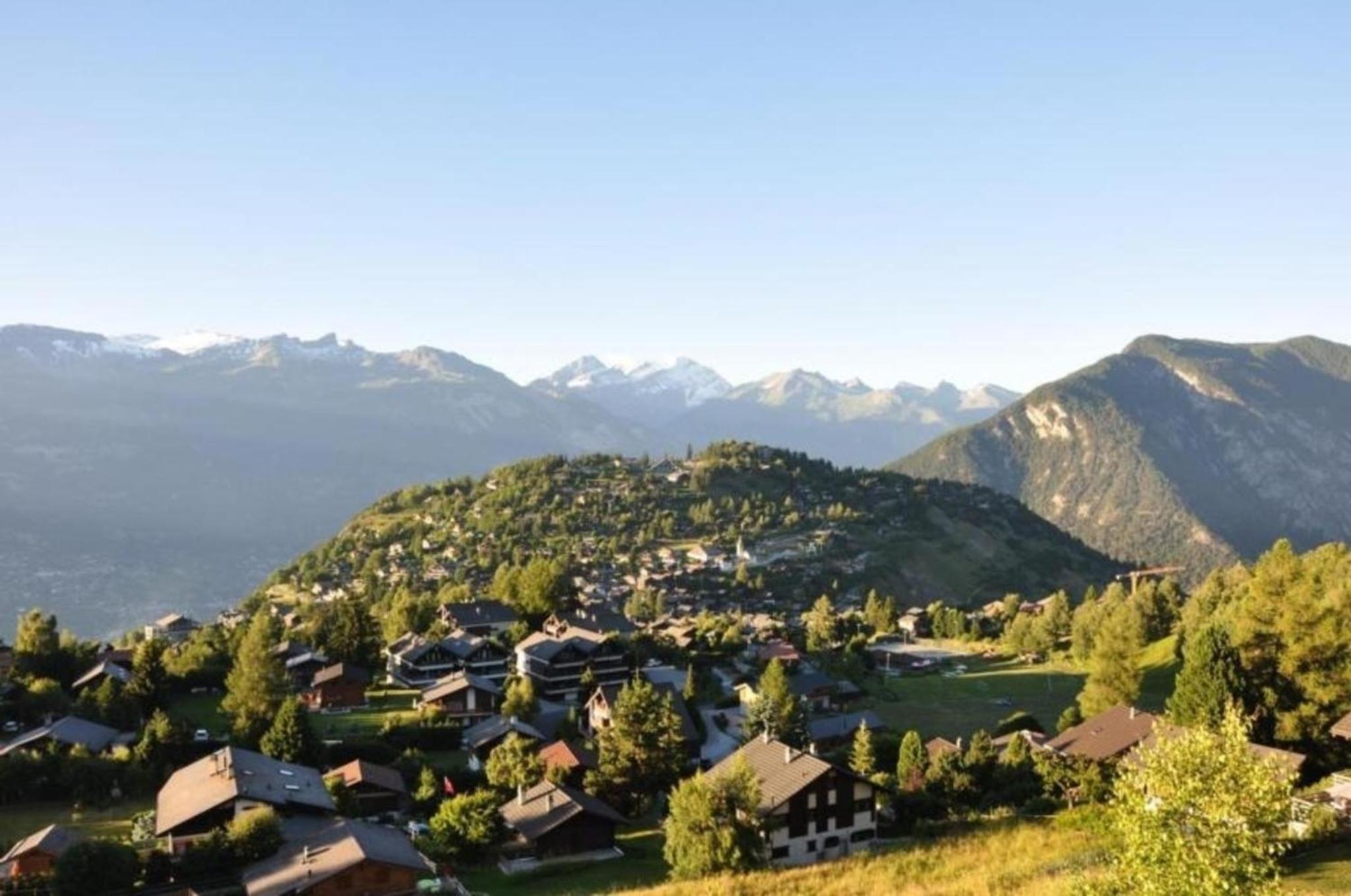 Modernes Chalet - Blue Merle