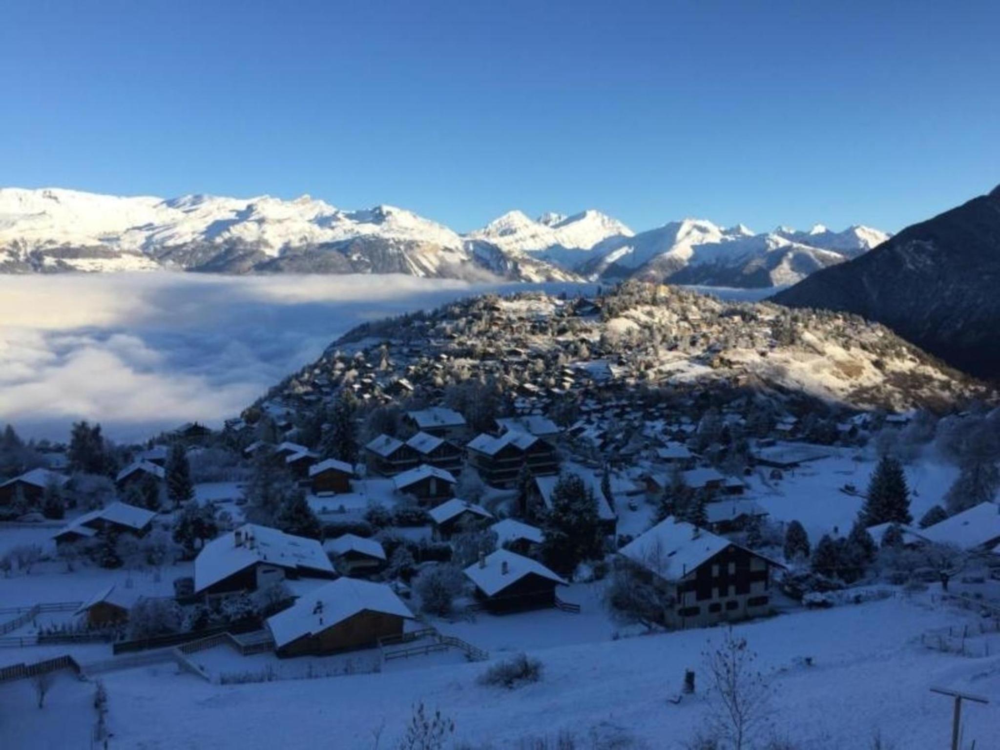 Modernes Chalet - Blue Merle