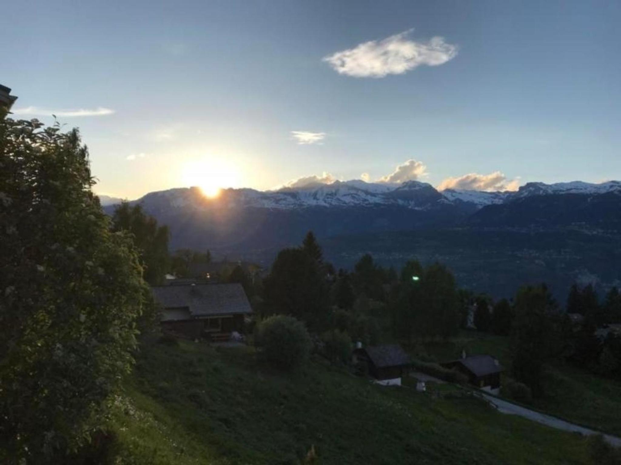 Modernes Chalet - Blue Merle