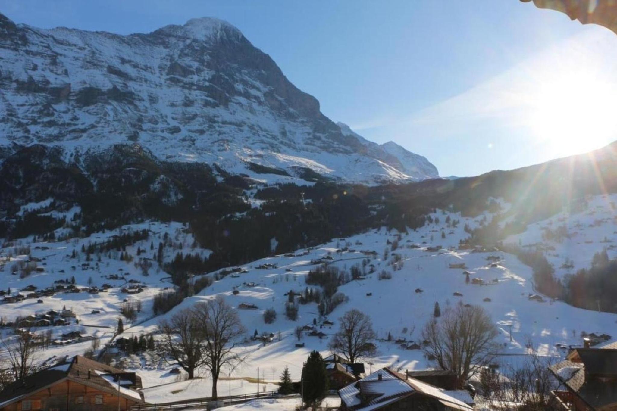 Chalet Burgstein, Wohnung Enzian
