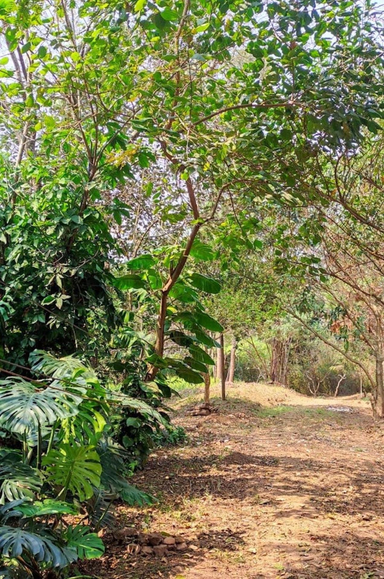Casa colonial em Itù - Sorocaba