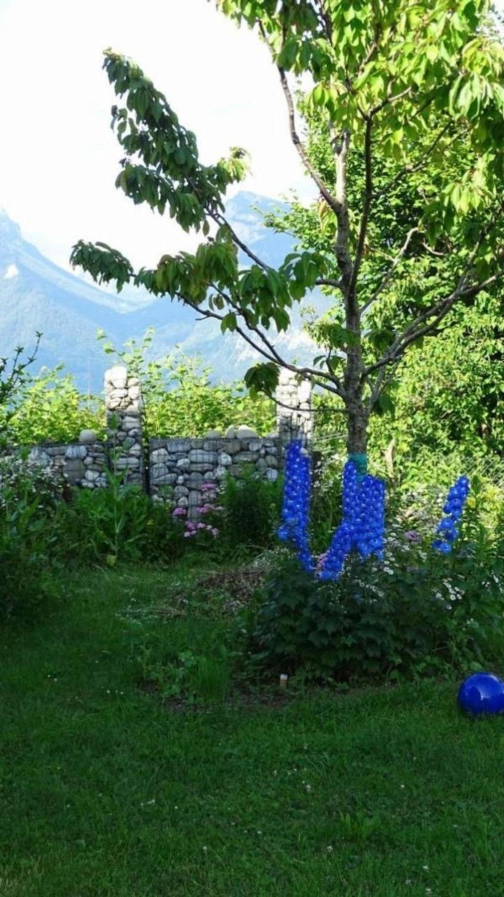 Chalet Aebnit