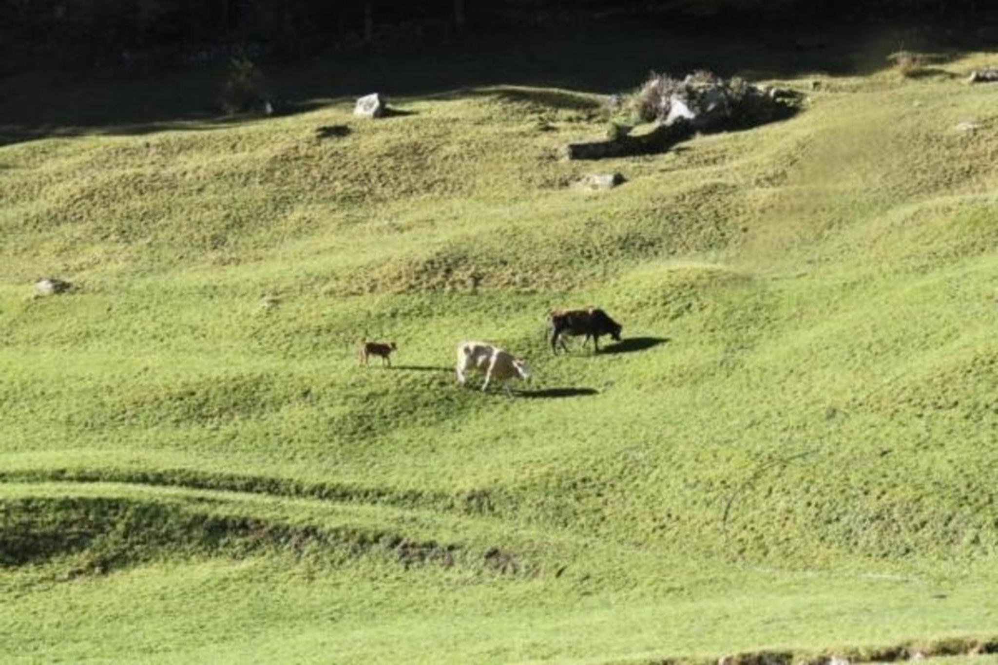 Maiensäss La Scera Val Poschiavo