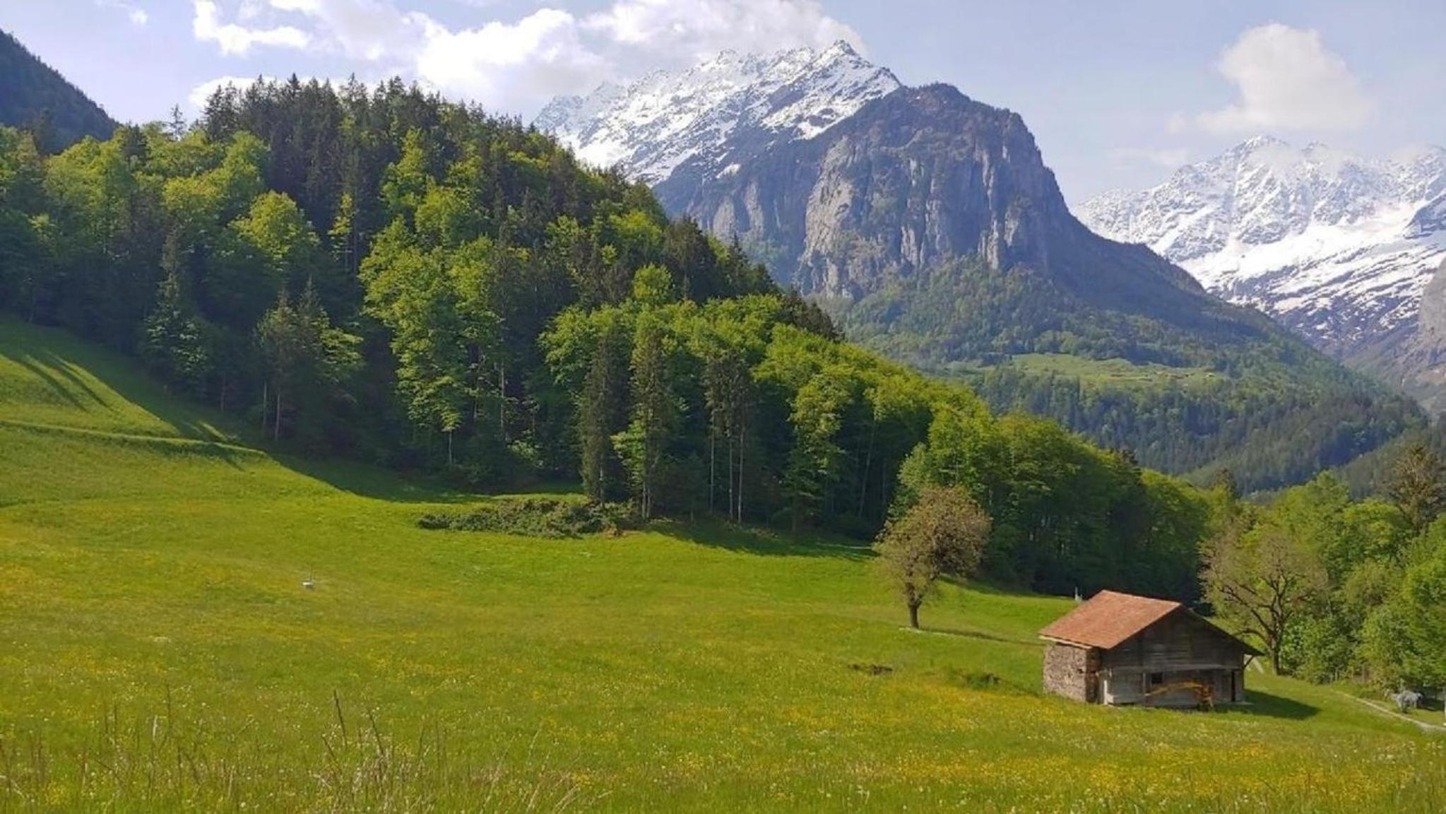 Wohnung Mit 2 Schlafzimmern Ürbach