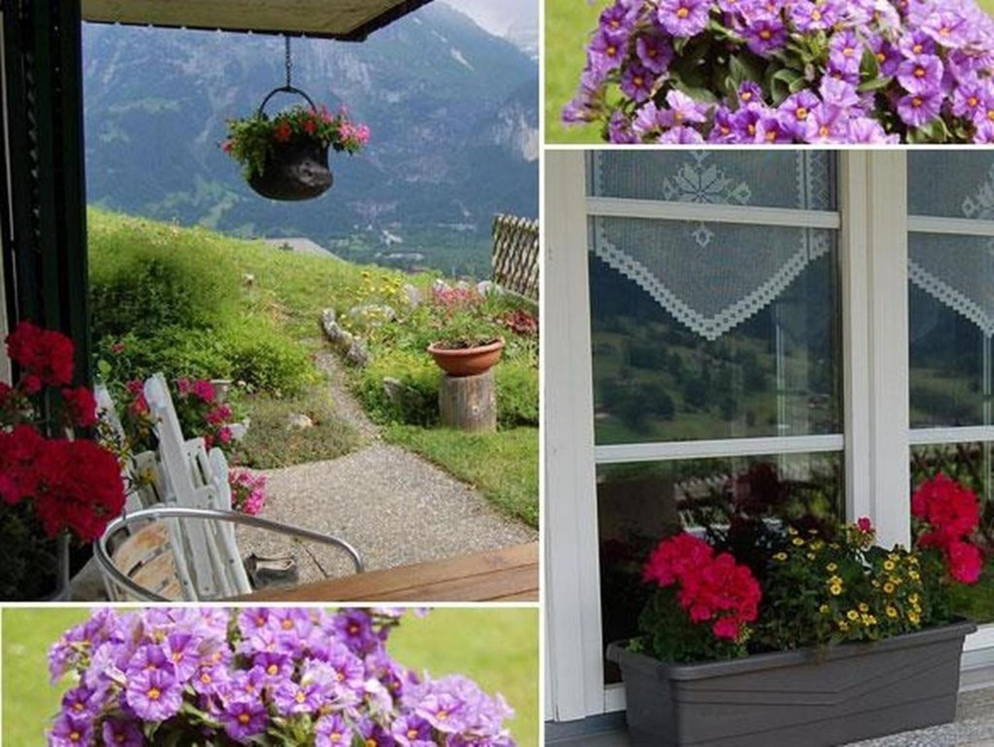 Chalet Burgstein, Wohnung Silberdistel - b48794