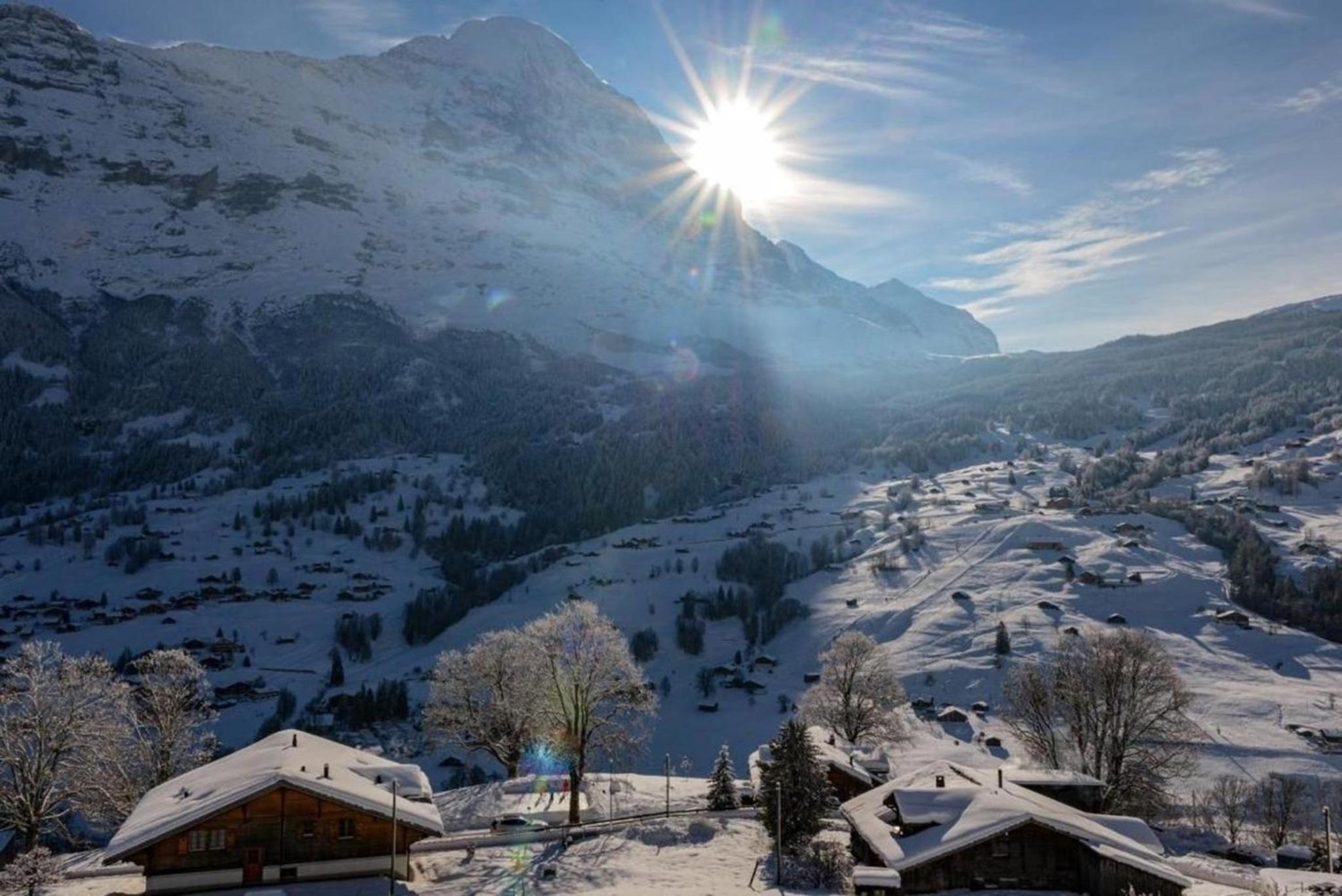 Chalet Burgstein, Wohnung Silberdistel - b48794