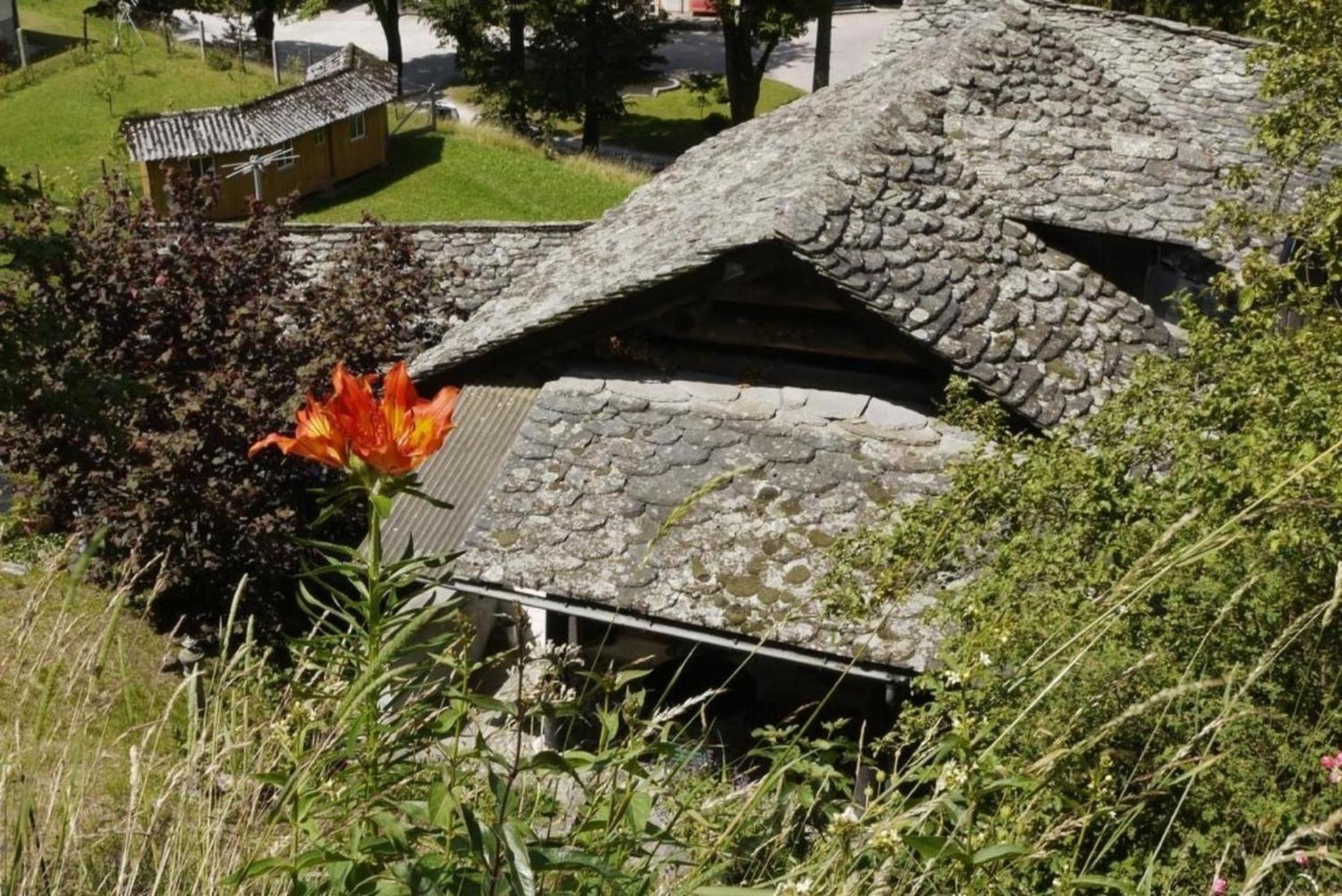 Casa Lina