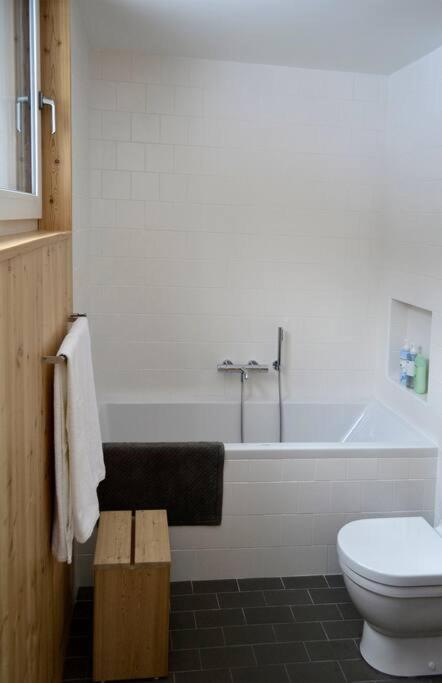 Modern Mountain Retreat view 5